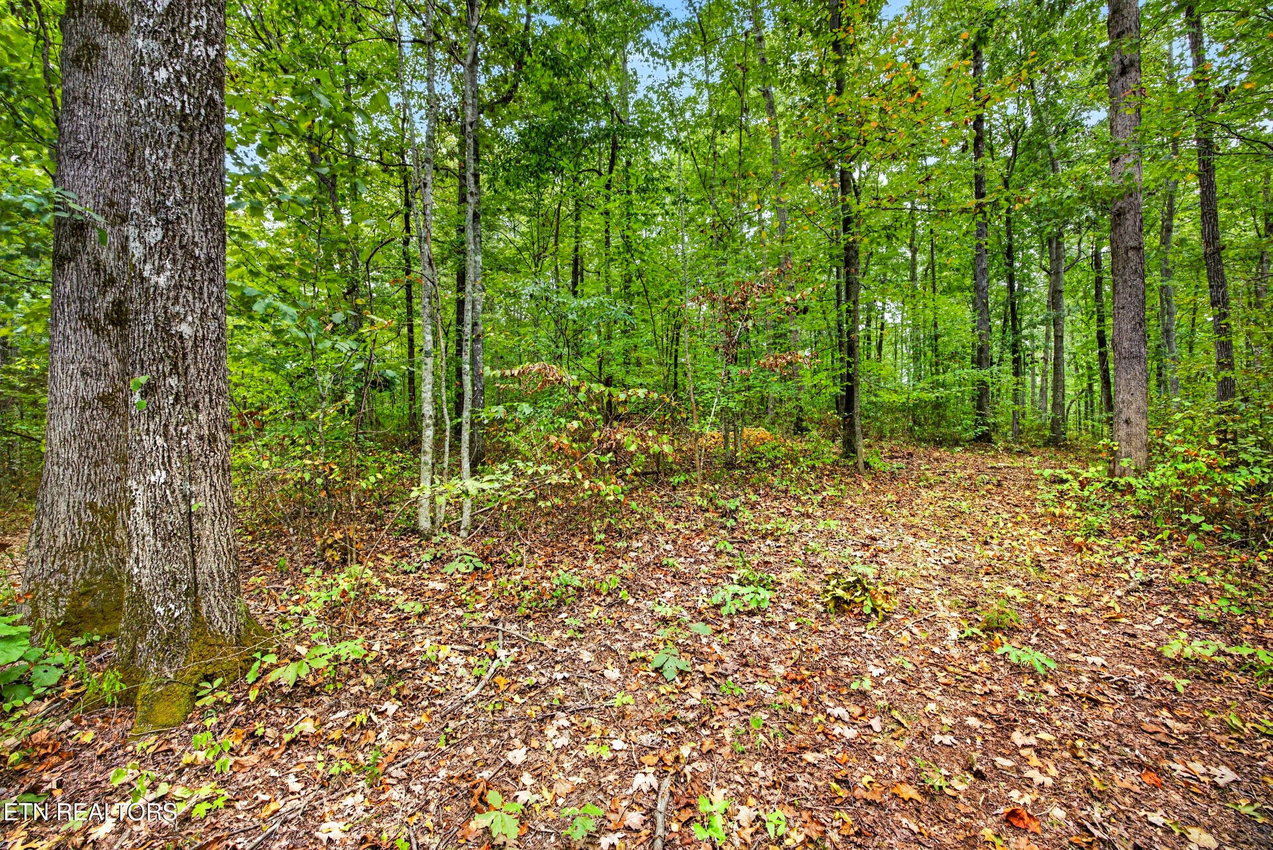 6-8N5A6477 - Lot X & 22 Colepin Lane, Celina, TN 38551
