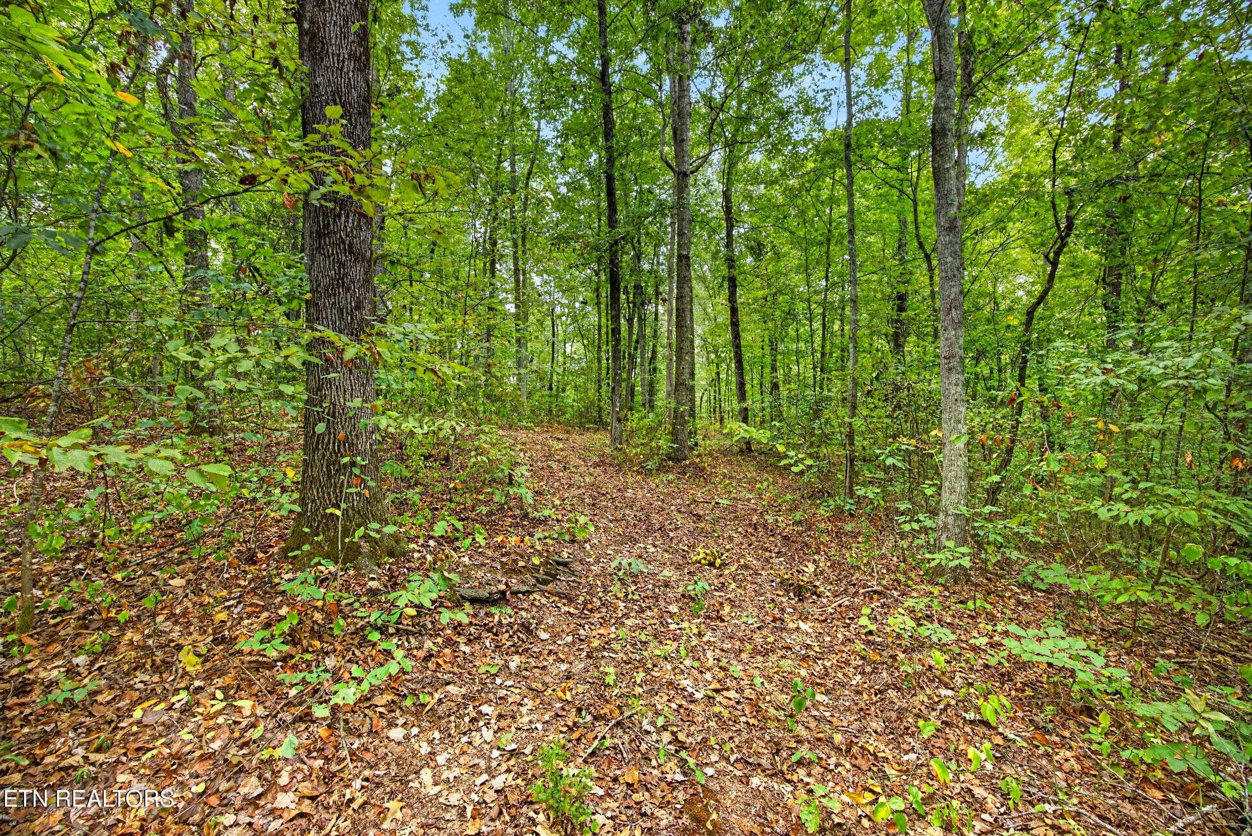 7-8N5A6462 - Lot X & 22 Colepin Lane, Celina, TN 38551