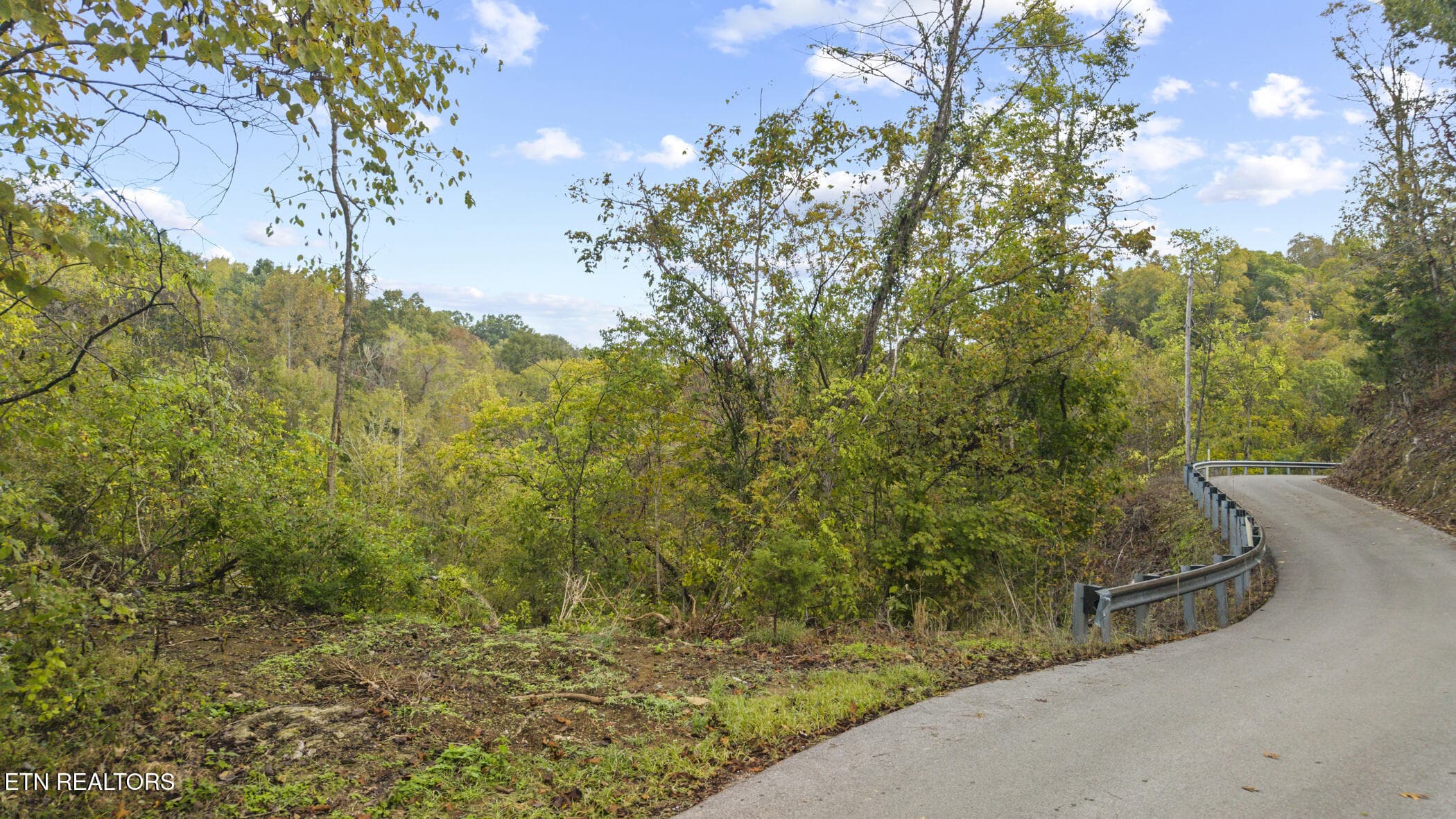 Long Branch Rd, Seymour, TN 37865