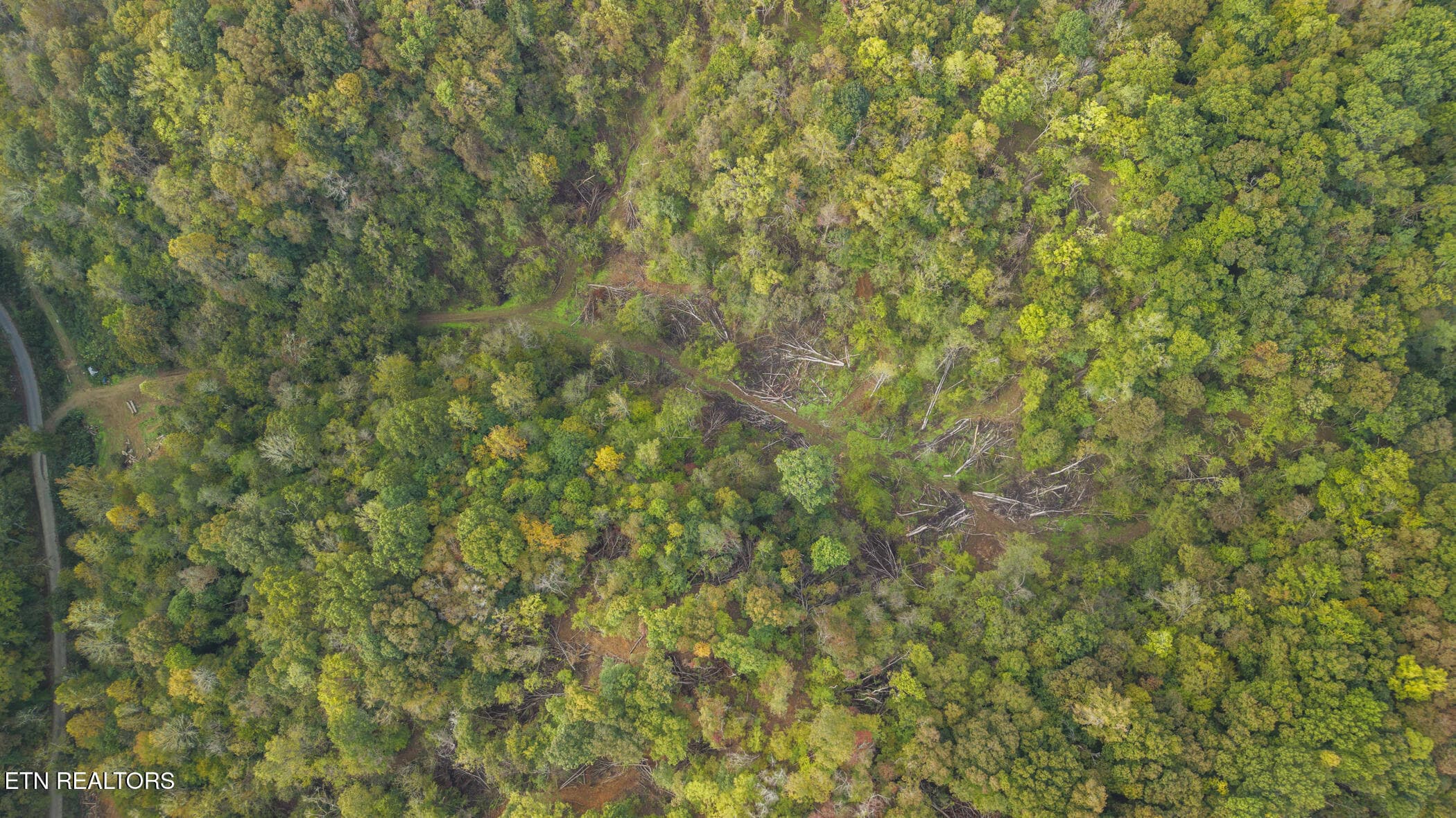 dji_20261014093001_0388_d - Long Branch Rd, Seymour, TN 37865