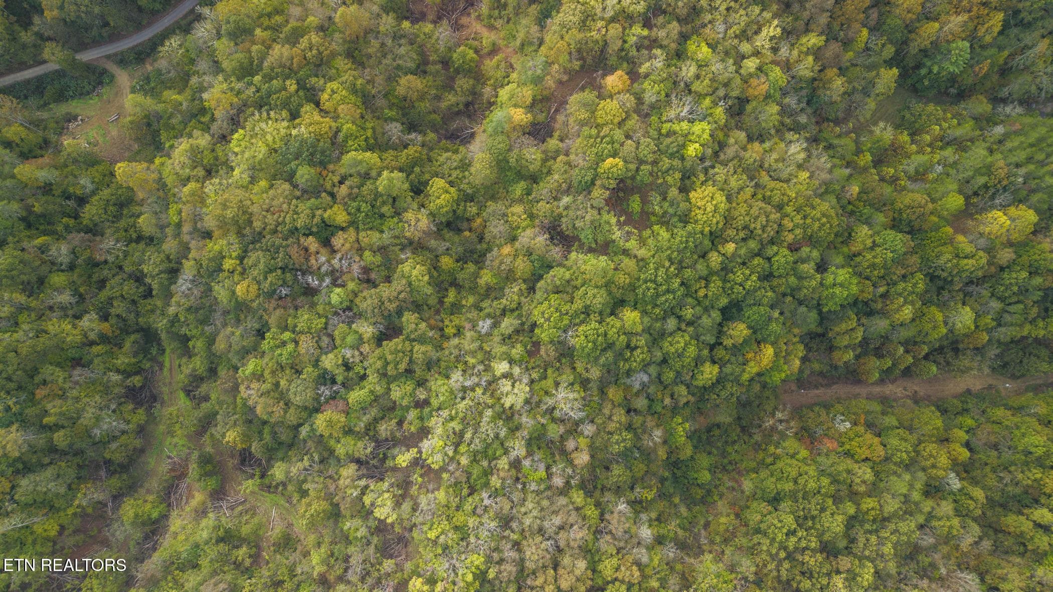 dji_20261014093038_0391_d - Long Branch Rd, Seymour, TN 37865