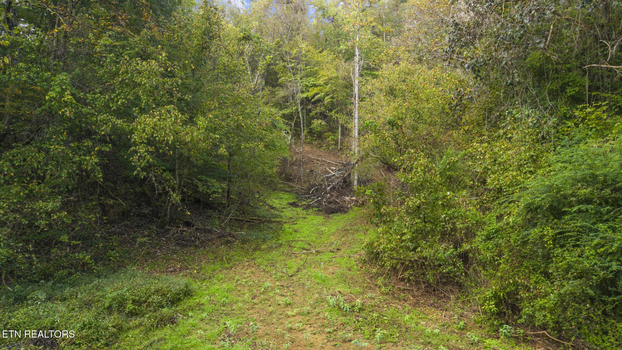 dji_20261014093255_0404_d - Long Branch Rd, Seymour, TN 37865