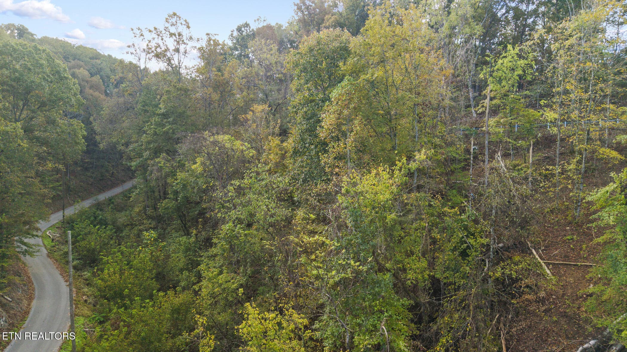 dji_20261014093325_0410_d - Long Branch Rd, Seymour, TN 37865