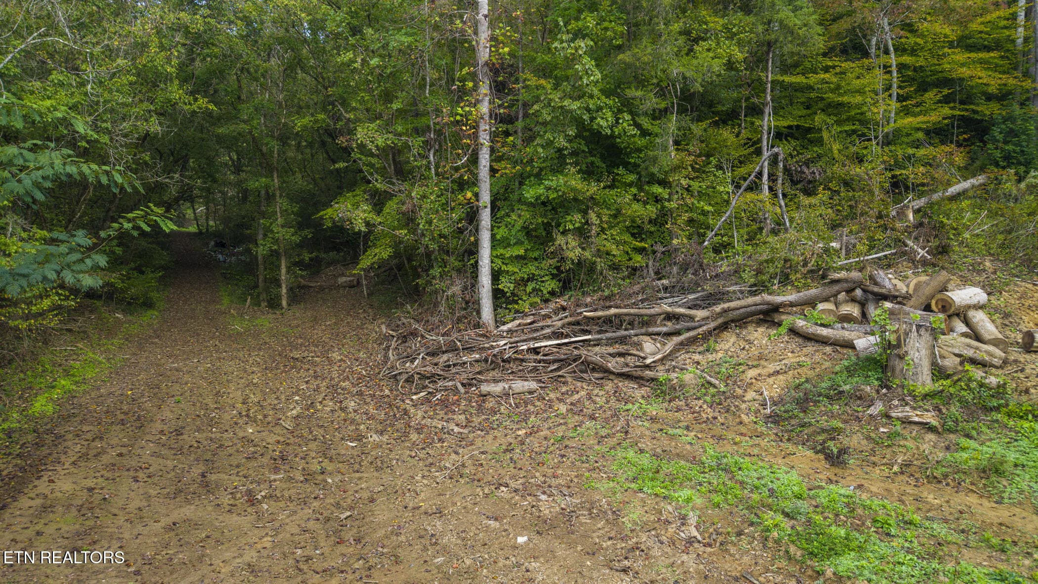 dji_20261014093607_0422_d - Long Branch Rd, Seymour, TN 37865