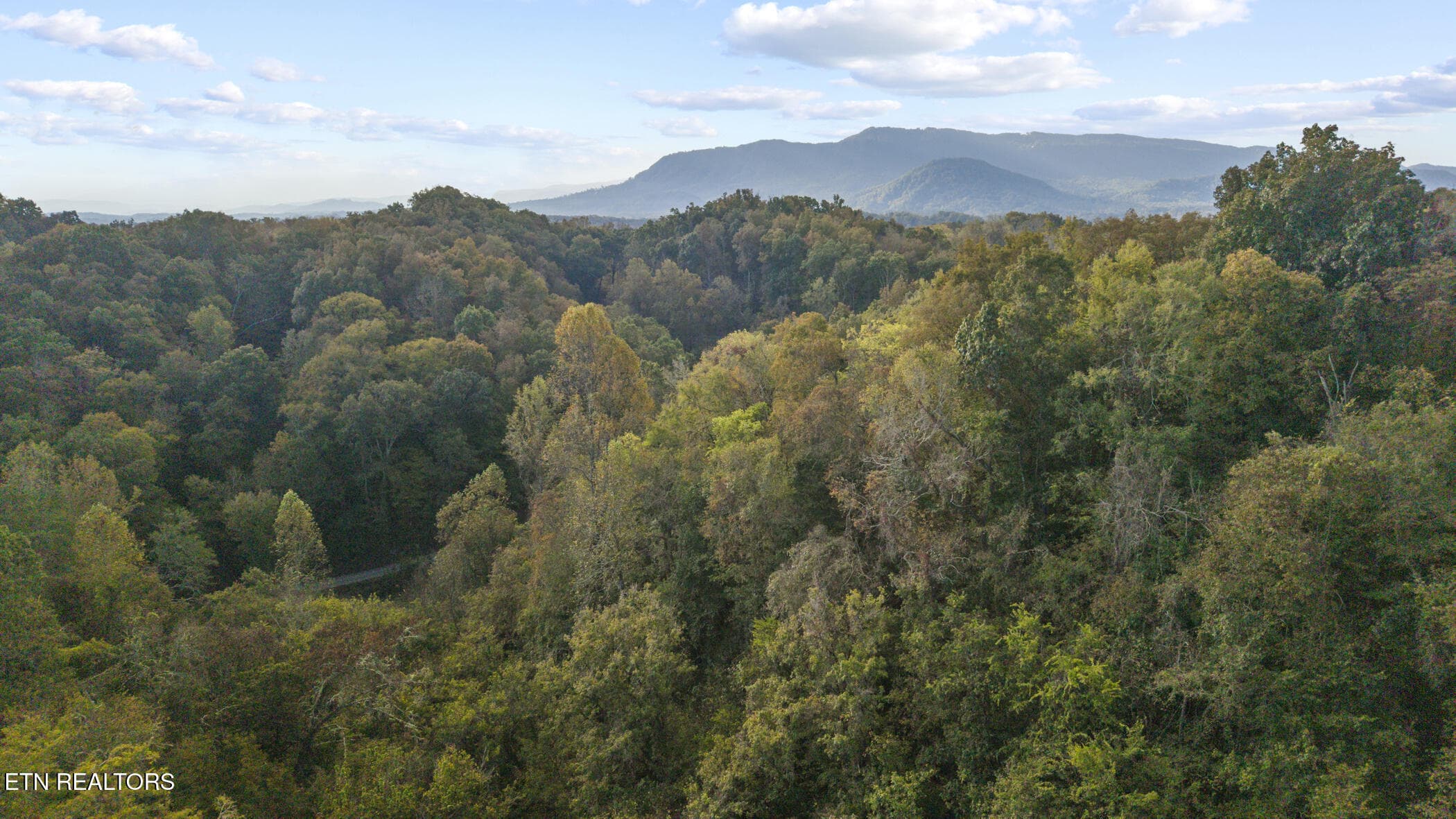 dji_20261014093755_0432_d - Long Branch Rd, Seymour, TN 37865