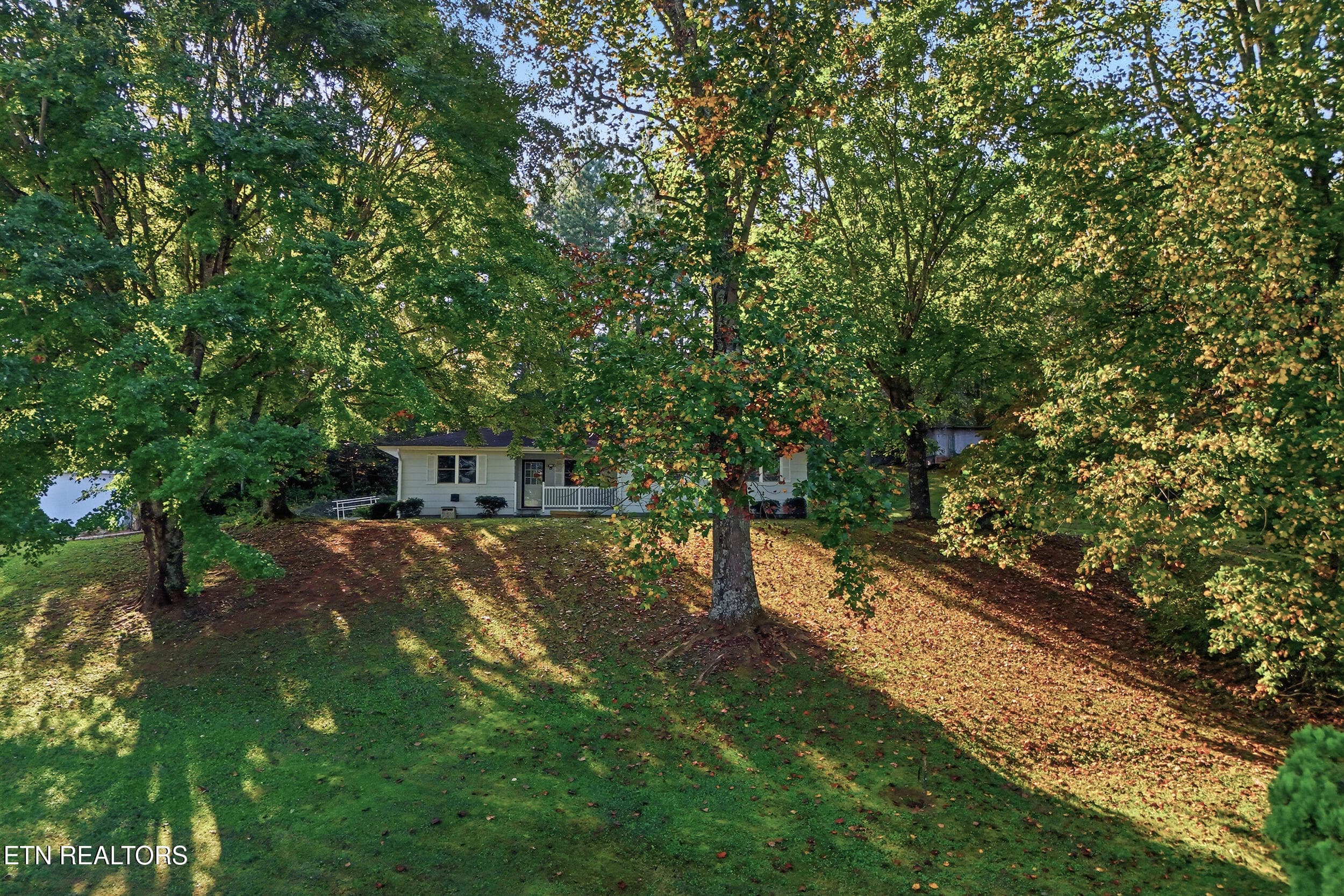 27_113eastdr_027 - 113 East Drive, Parrottsville, TN 37843