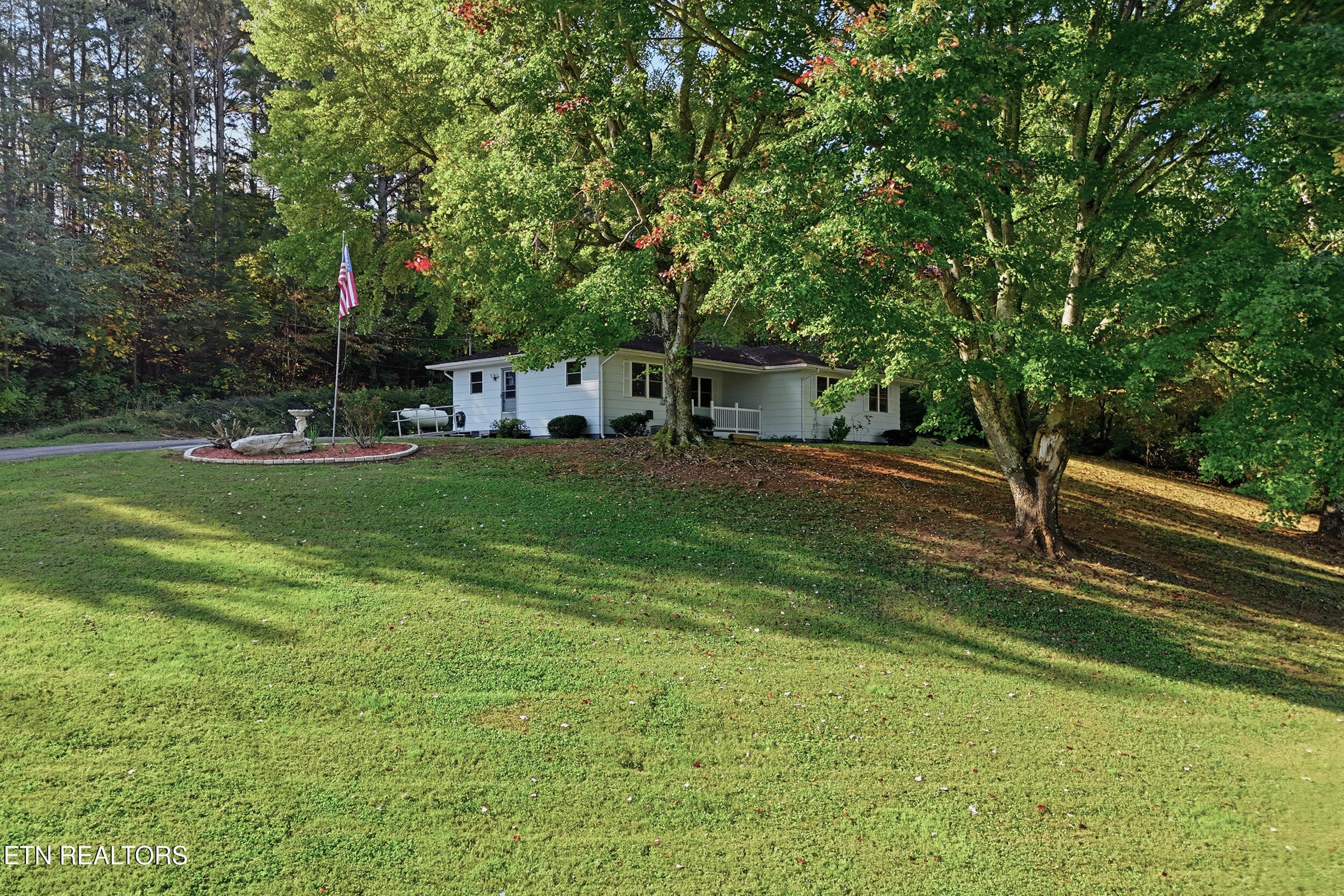 29_113eastdr_029 - 113 East Drive, Parrottsville, TN 37843