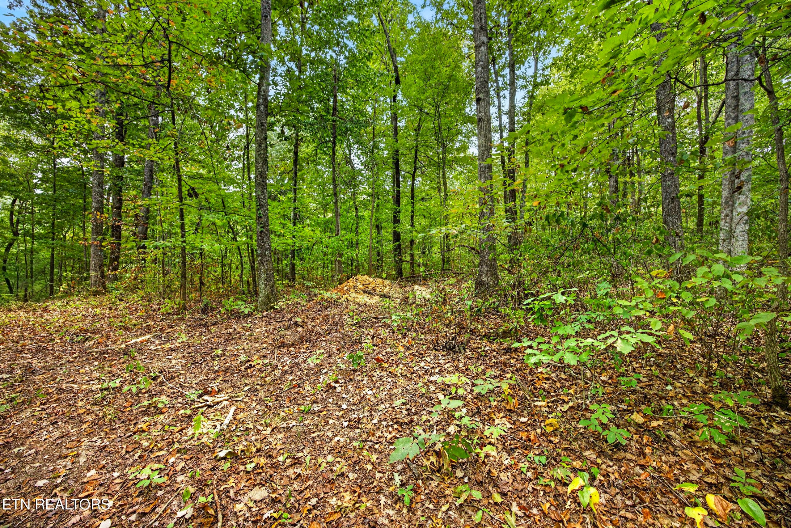 1-8N5A6459 - Lot X,21 & 22 Colepin Lane, Celina, TN 38551