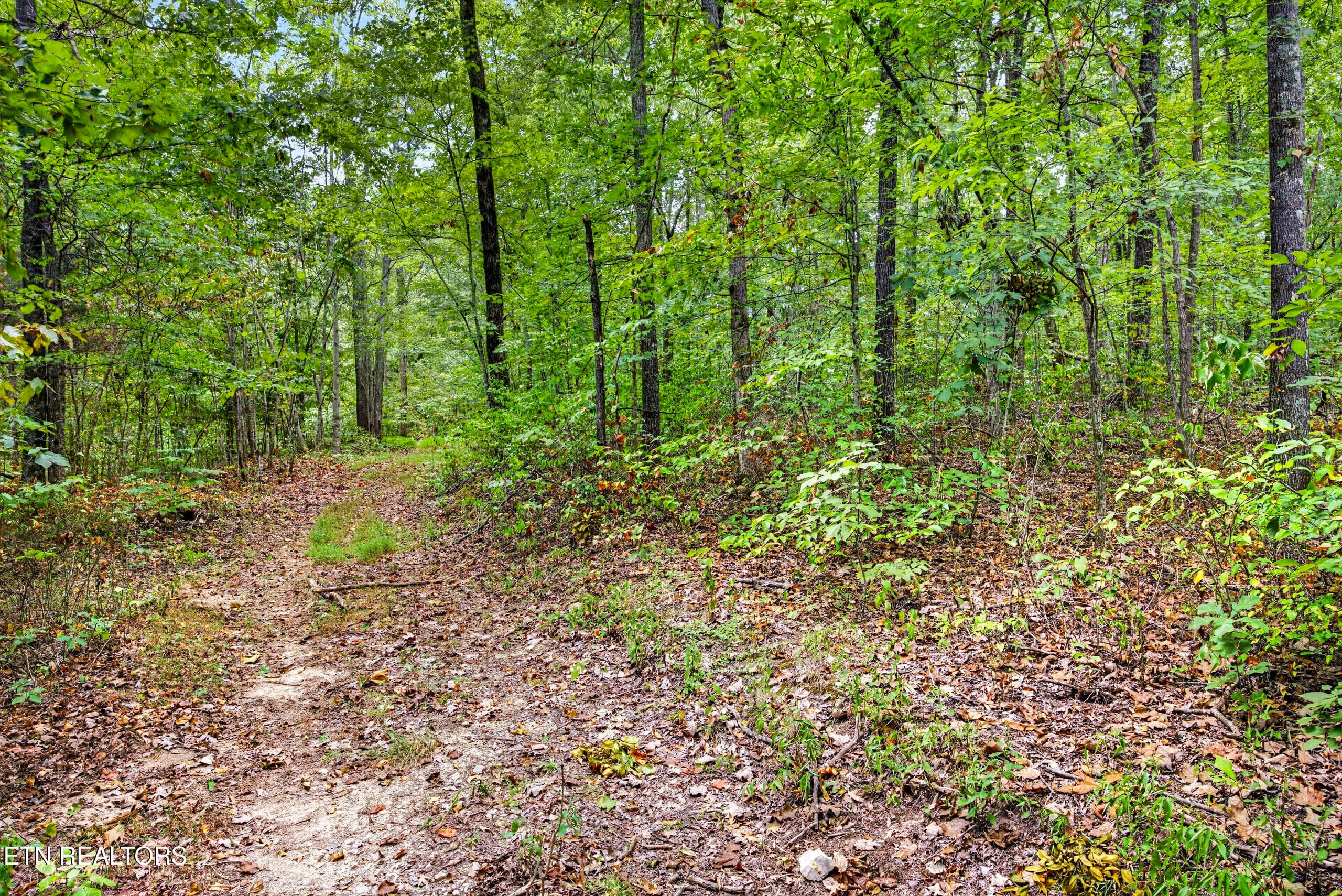 2-8N5A6483 - Lot X,21 & 22 Colepin Lane, Celina, TN 38551