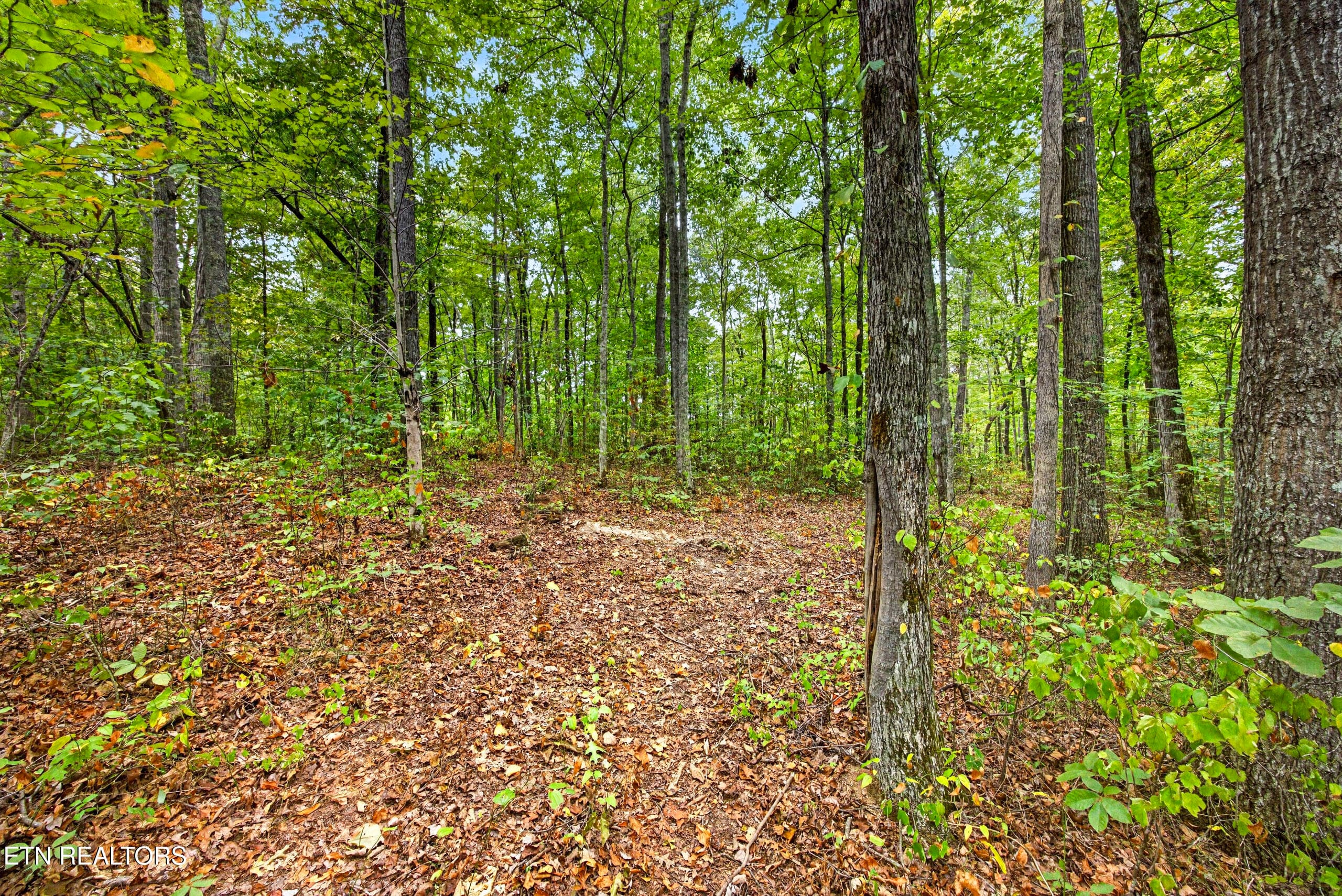 8-8N5A6447 - Lot X,21 & 22 Colepin Lane, Celina, TN 38551