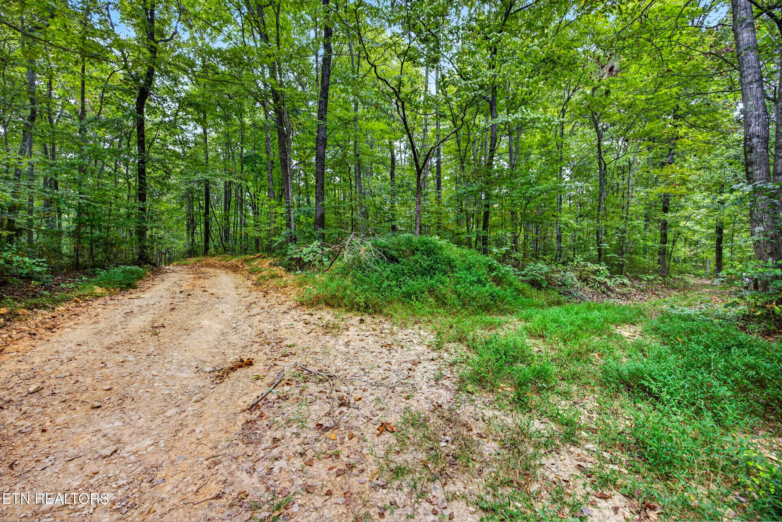 10-8N5A6348 - Lot X,21 & 22 Colepin Lane, Celina, TN 38551