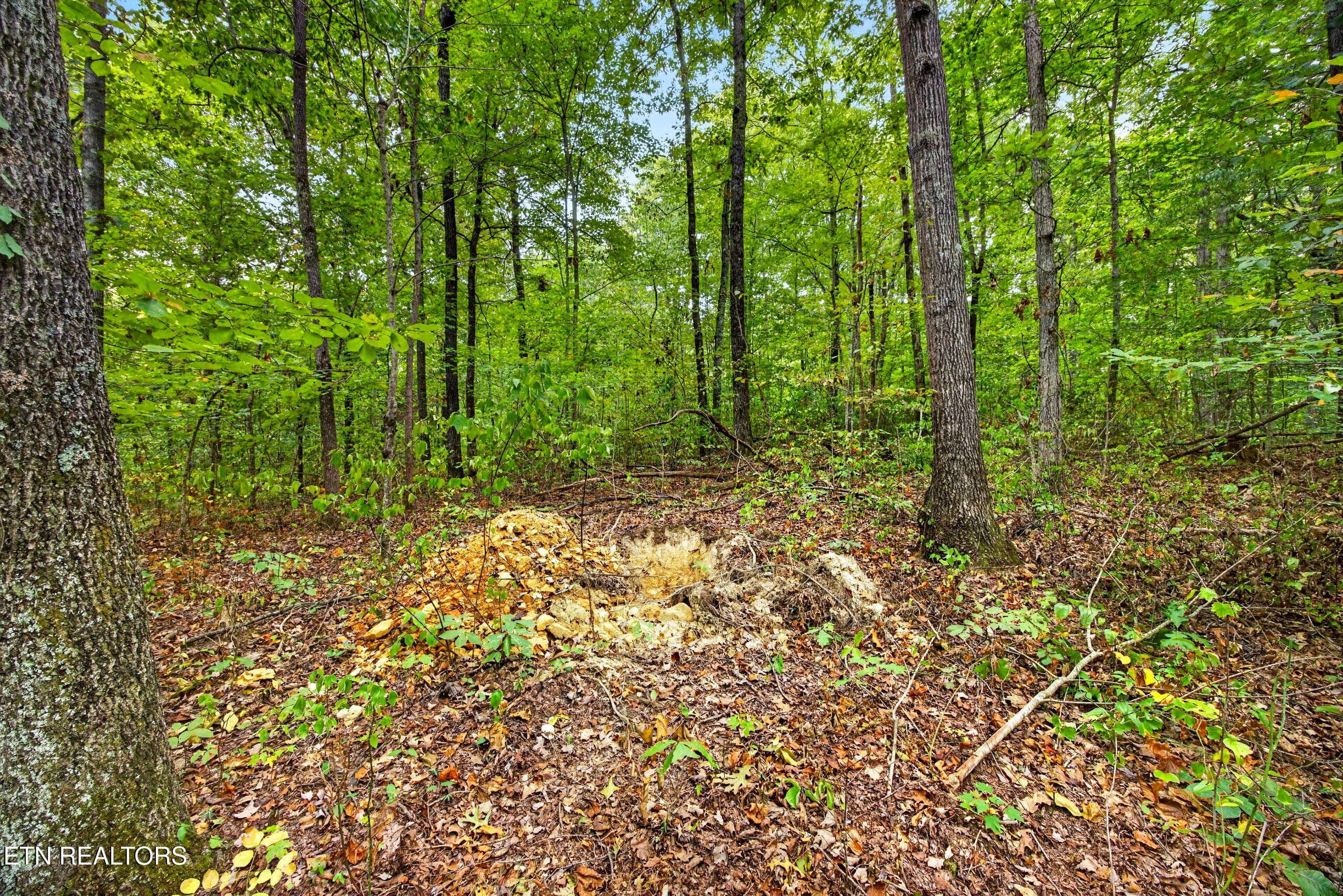 4-8N5A6468 - Lot X,21 & 22 Colepin Lane, Celina, TN 38551