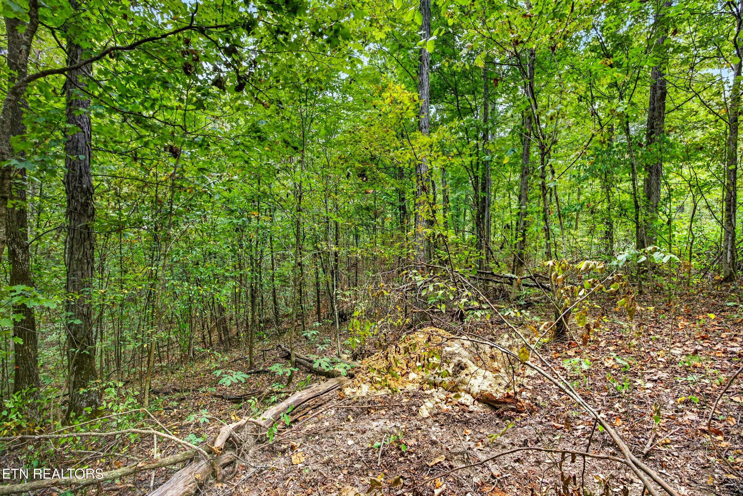 Lot 20,23& 24 Timber Ridge Lane, Celina, TN 38551