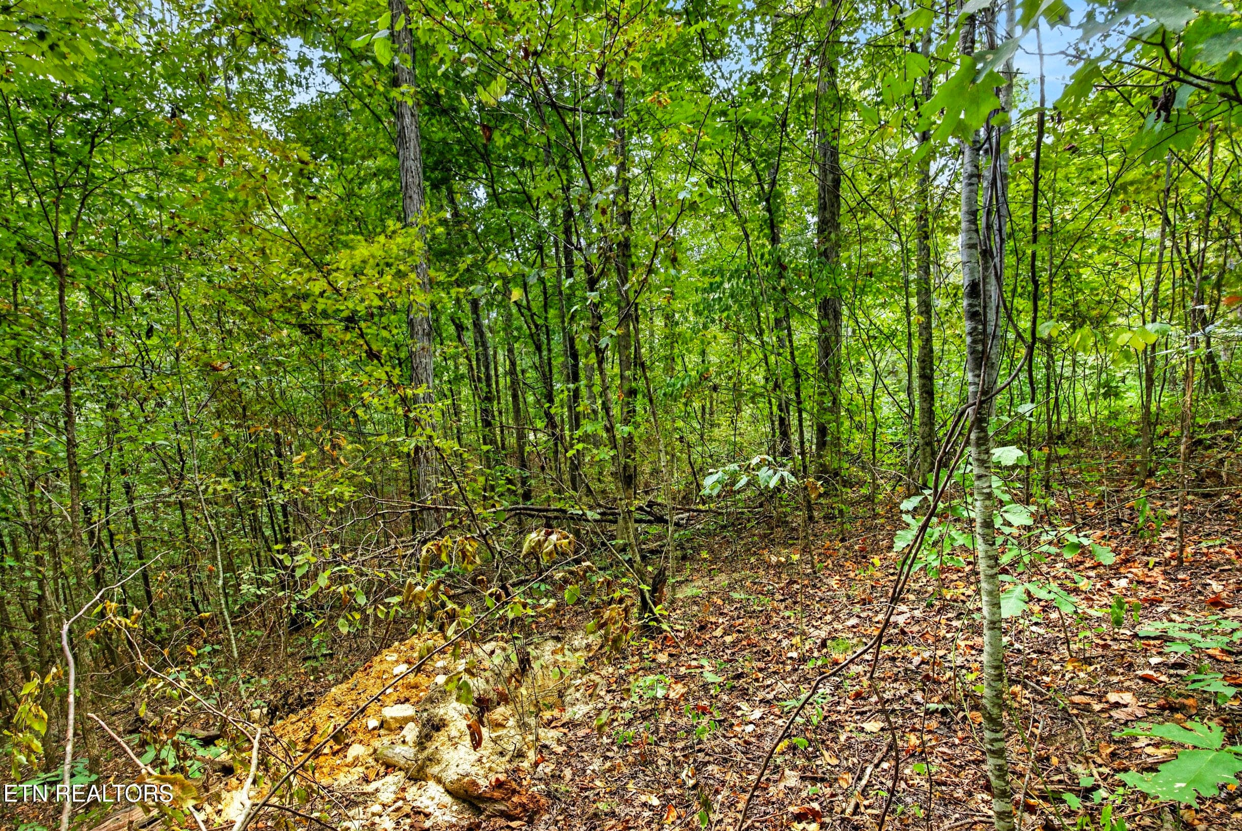 2-8N5A6336 - Lot 20,23& 24 Timber Ridge Lane, Celina, TN 38551