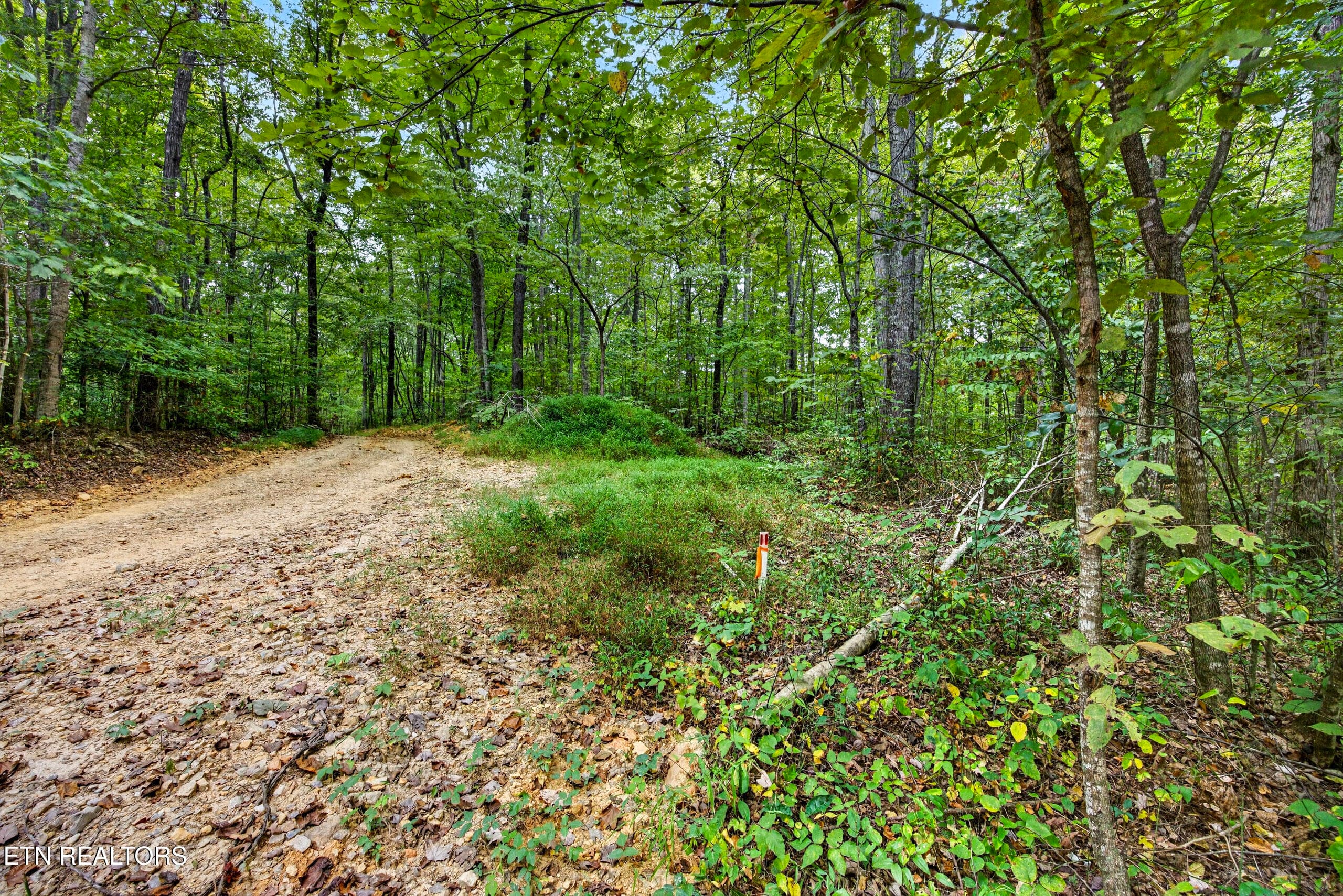 3-8N5A6330 - Lot 20,23& 24 Timber Ridge Lane, Celina, TN 38551