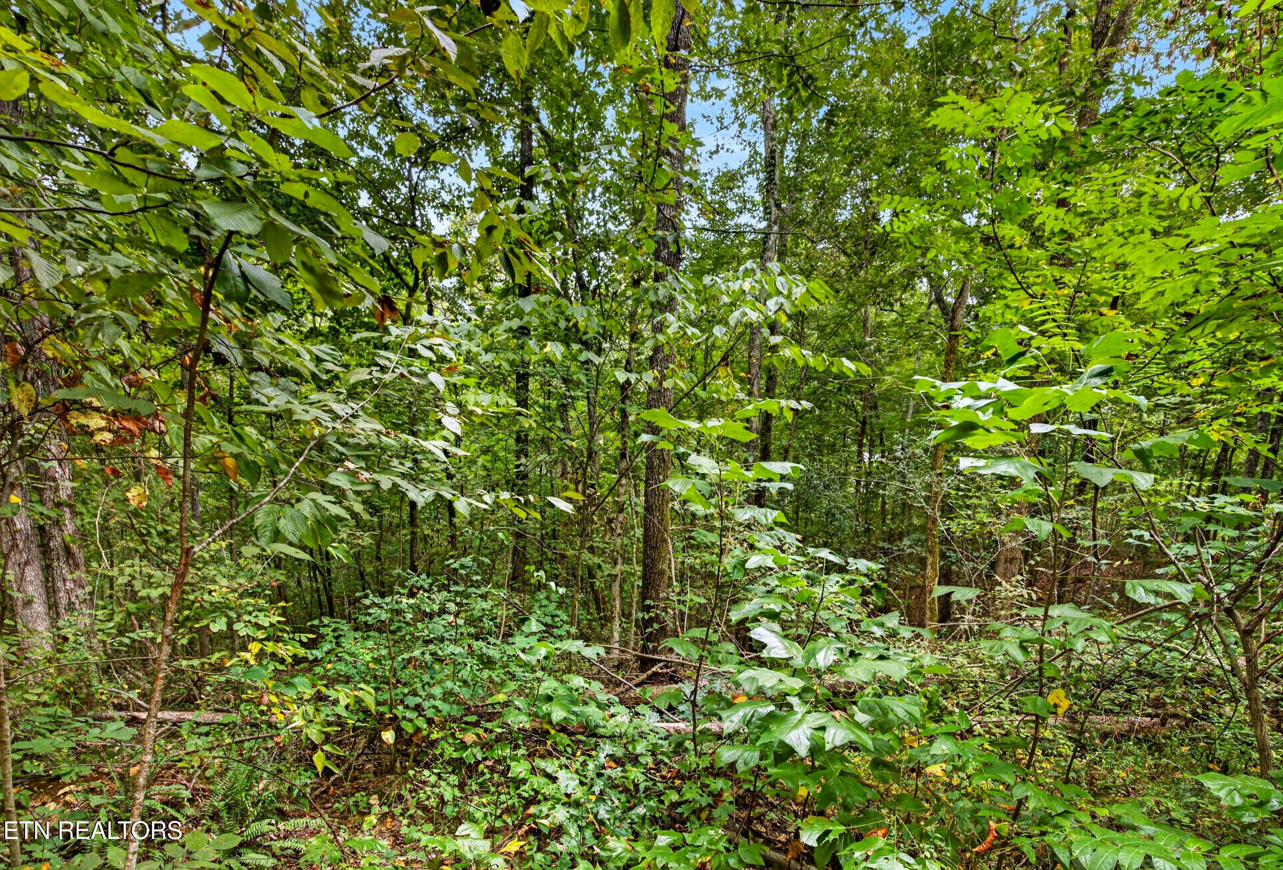 4-8N5A6328 - Lot 20,23& 24 Timber Ridge Lane, Celina, TN 38551