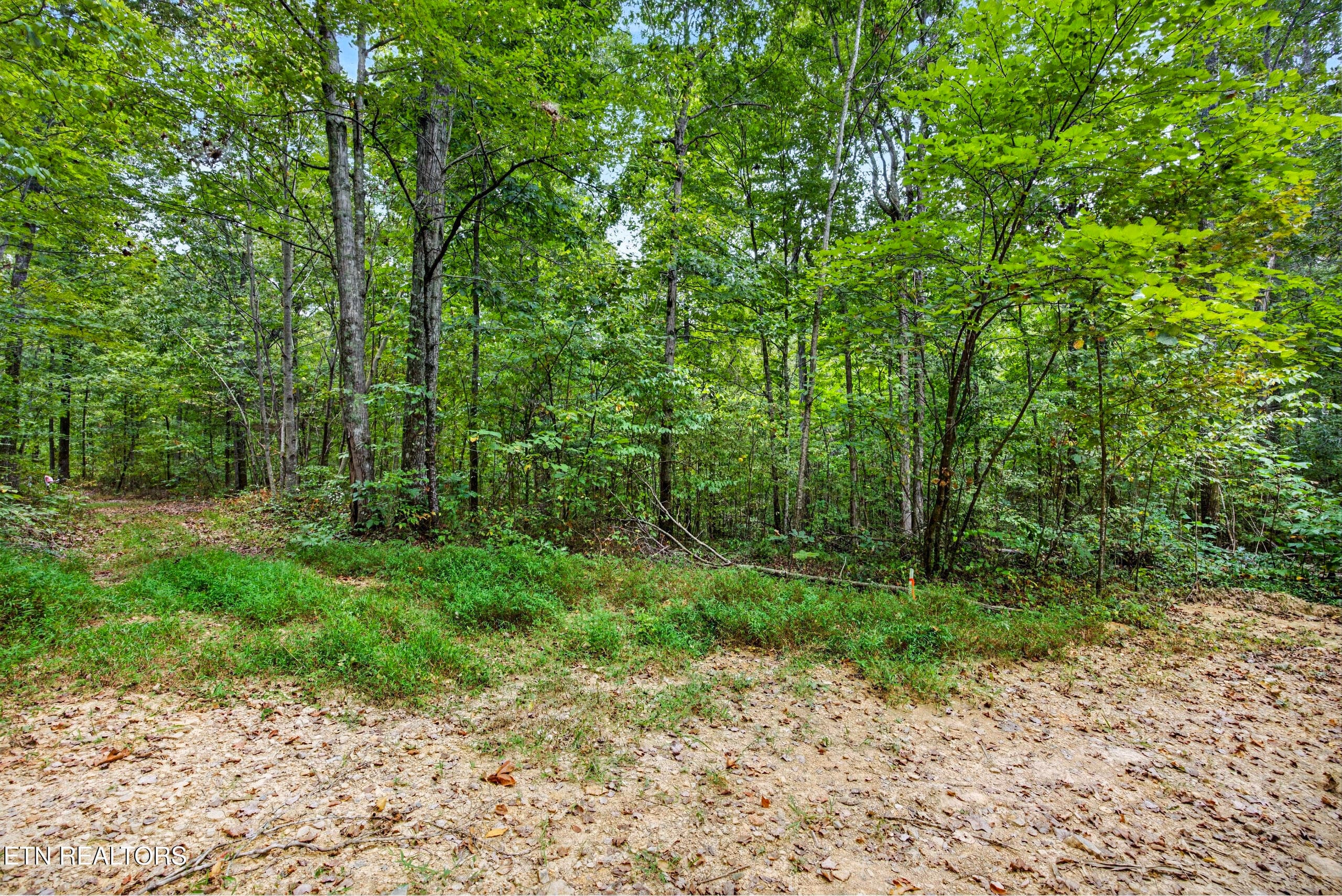 5-8N5A6321 - Lot 20,23& 24 Timber Ridge Lane, Celina, TN 38551