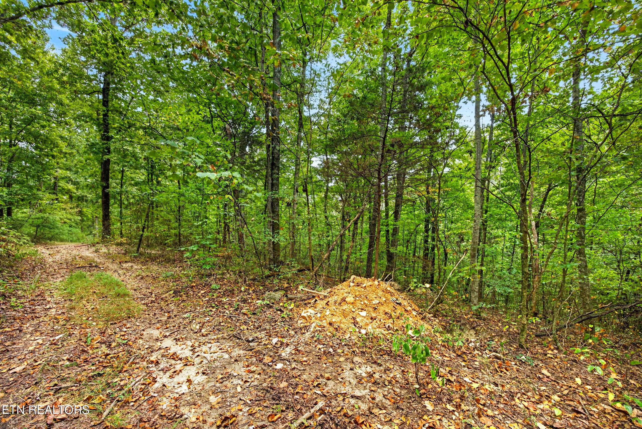 6-8N5A6315 - Lot 20,23& 24 Timber Ridge Lane, Celina, TN 38551