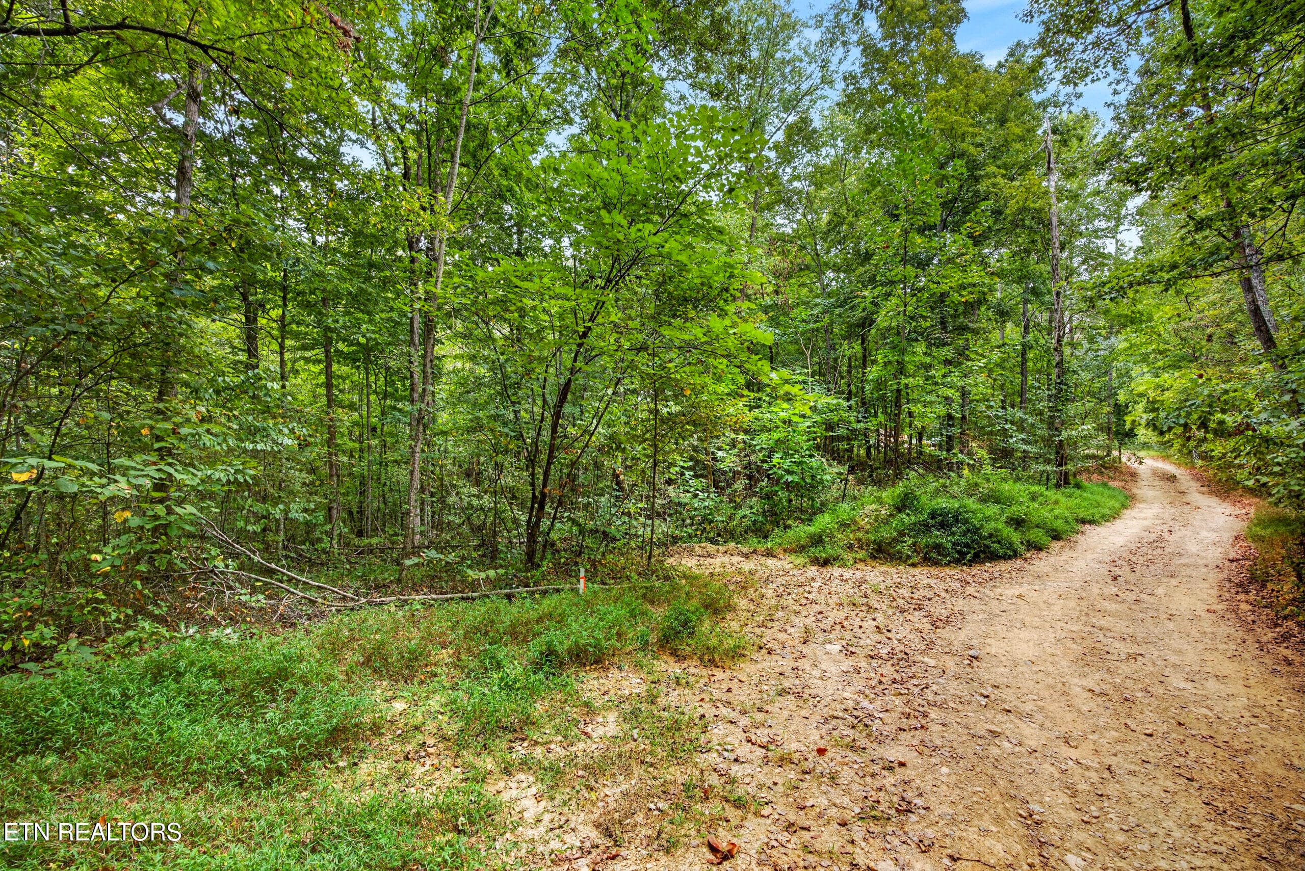 7-8N5A6326 - Lot 20,23& 24 Timber Ridge Lane, Celina, TN 38551