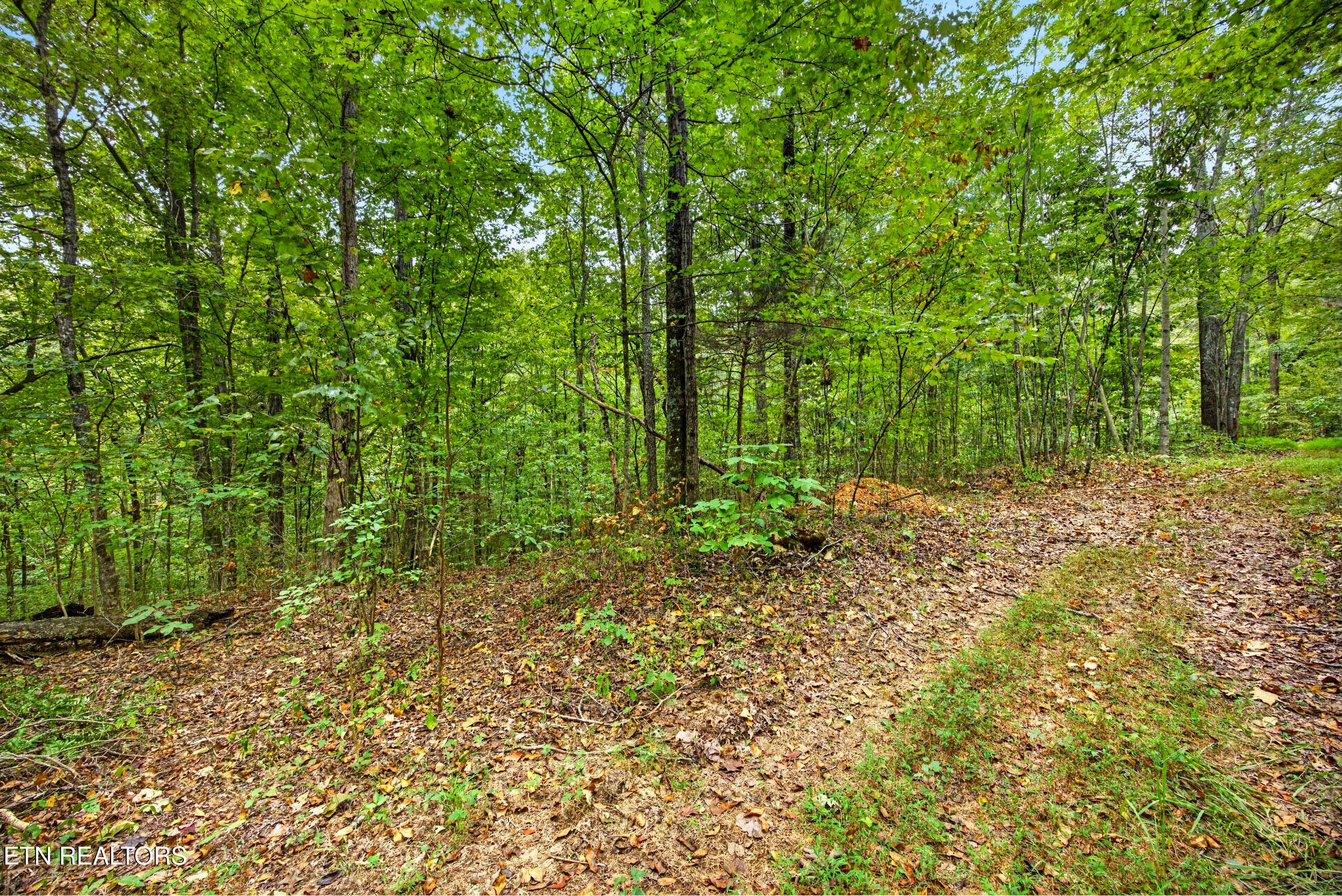 8-8N5A6314 - Lot 20,23& 24 Timber Ridge Lane, Celina, TN 38551