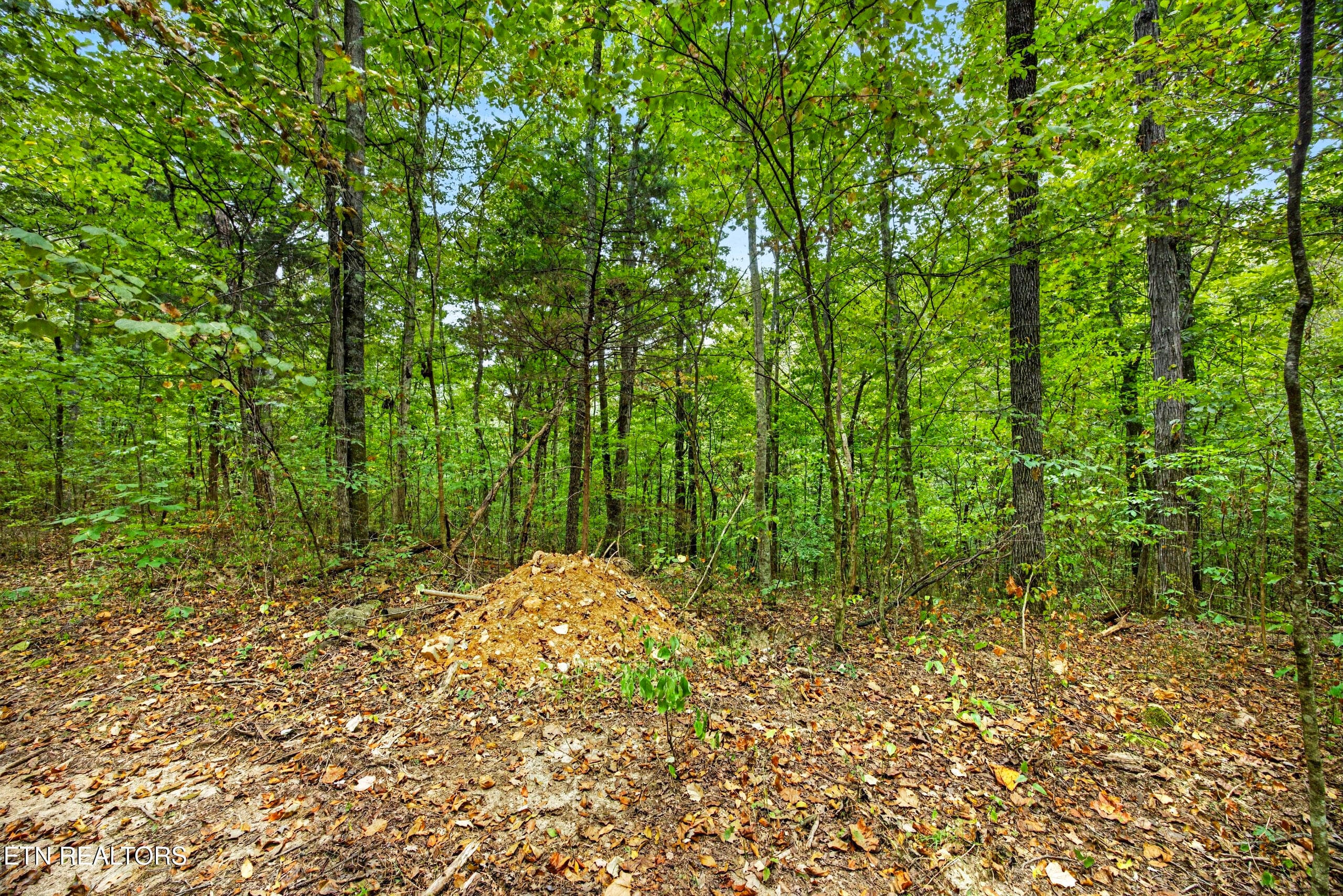 9-8N5A6318 - Lot 20,23& 24 Timber Ridge Lane, Celina, TN 38551
