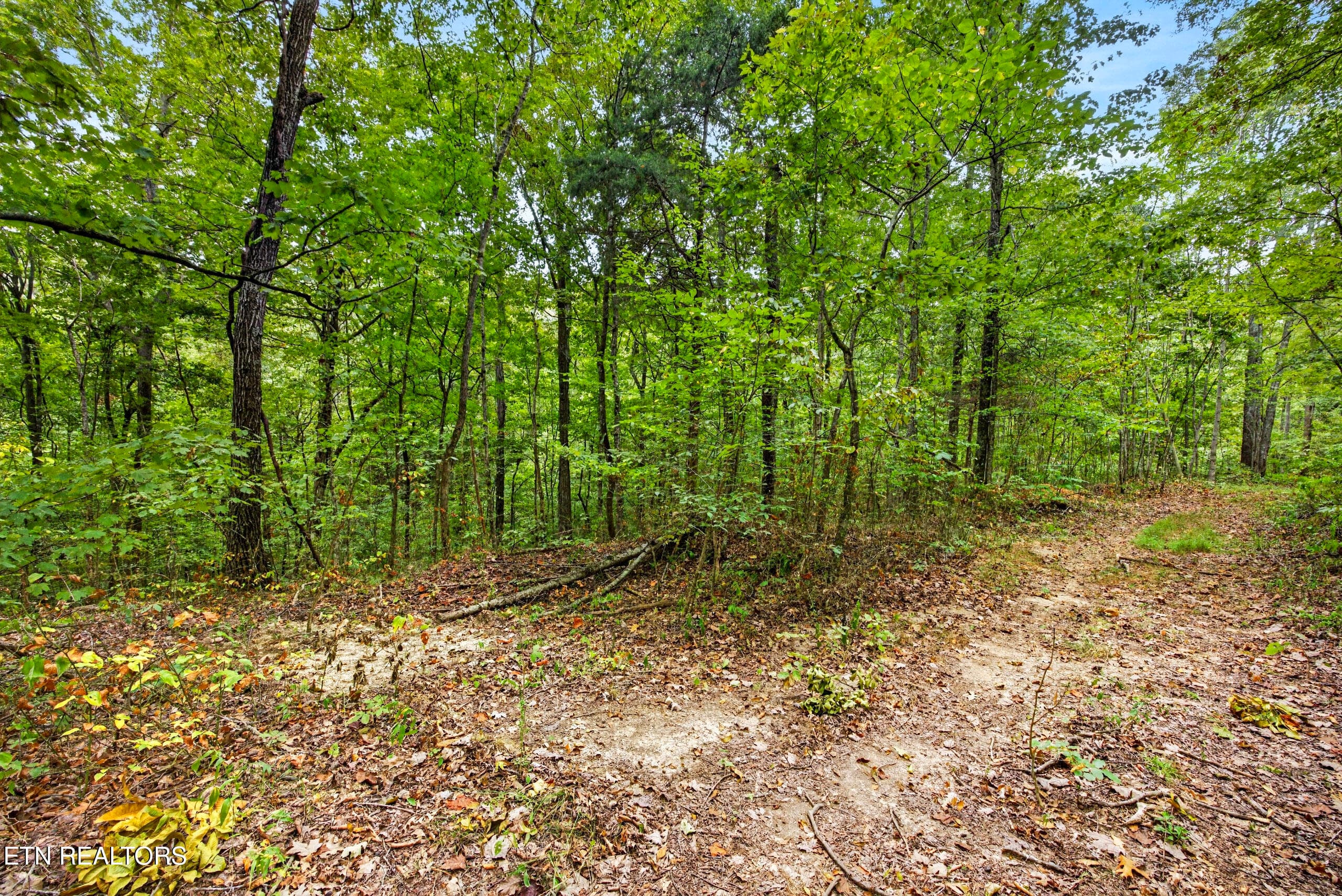 10-8N5A6309 - Lot 20,23& 24 Timber Ridge Lane, Celina, TN 38551