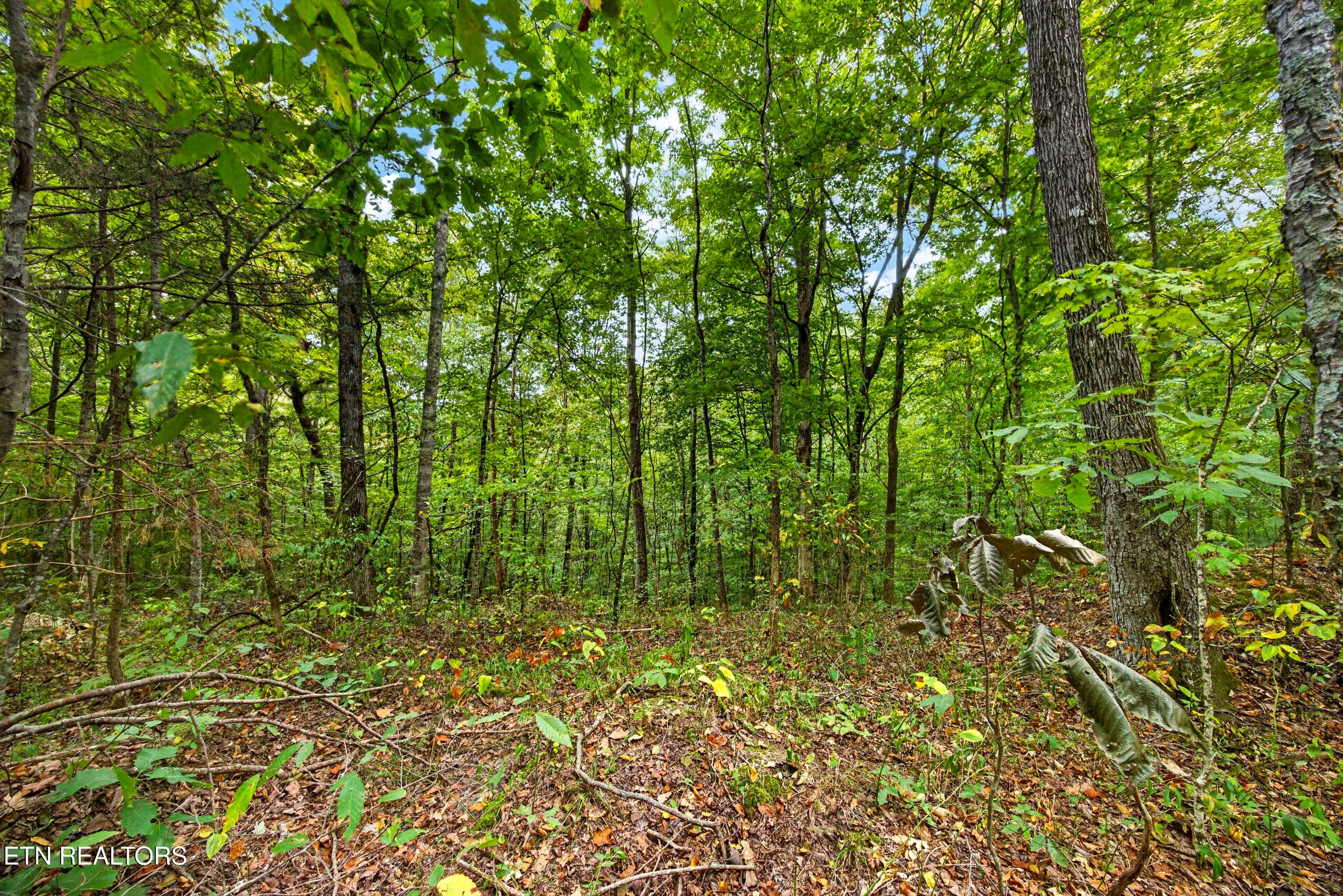 1-8N5A6513 - Lot 20,23& 24 Timber Ridge Lane, Celina, TN 38551