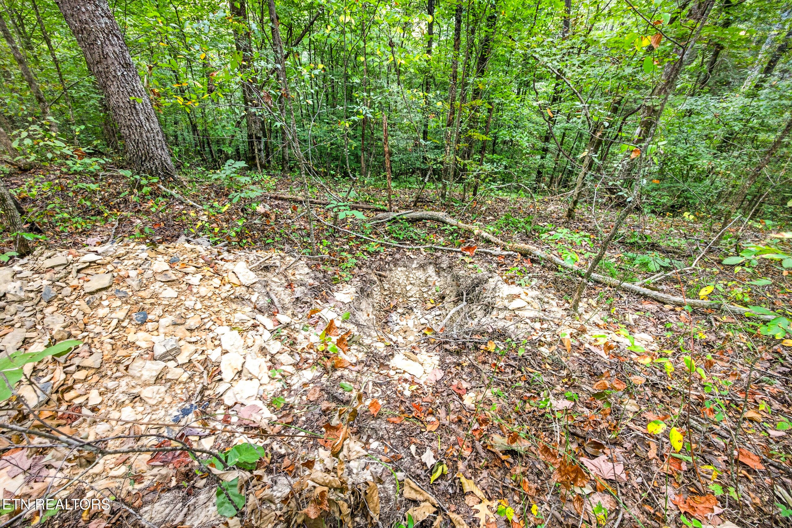 3-8N5A6505 - Lot 20,23& 24 Timber Ridge Lane, Celina, TN 38551