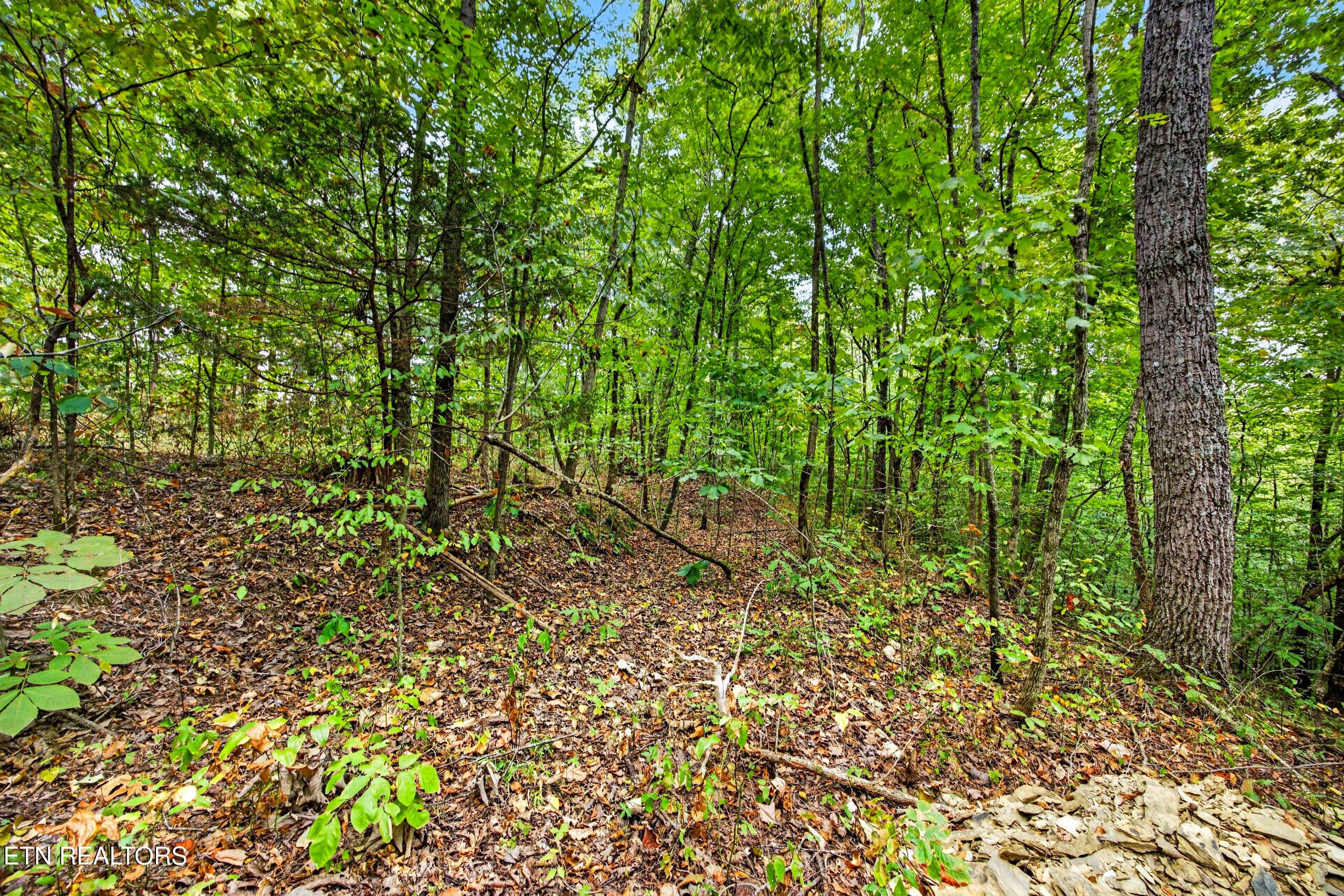 5-8N5A6507 - Lot 20,23& 24 Timber Ridge Lane, Celina, TN 38551