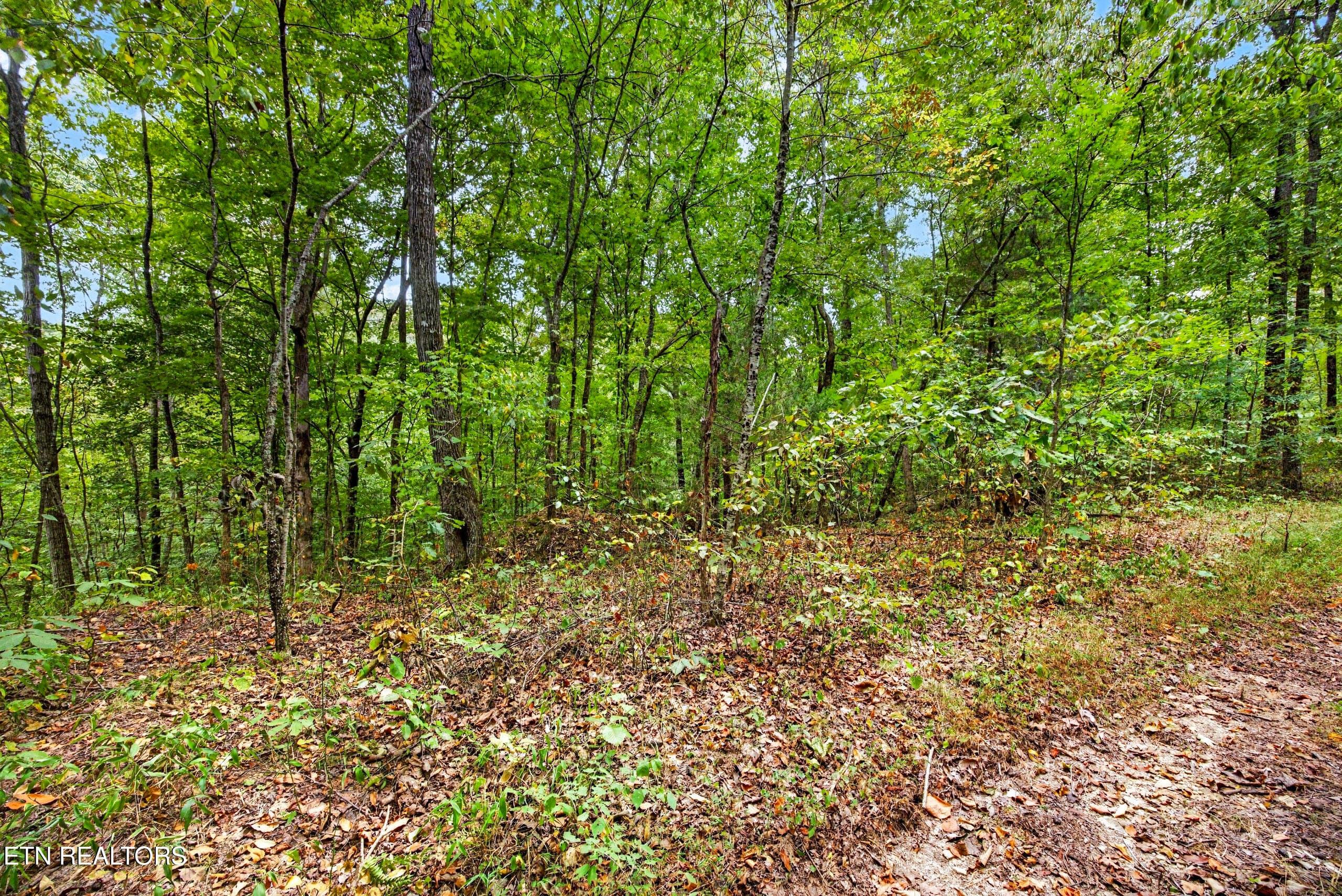 7-8N5A6520 - Lot 20,23& 24 Timber Ridge Lane, Celina, TN 38551