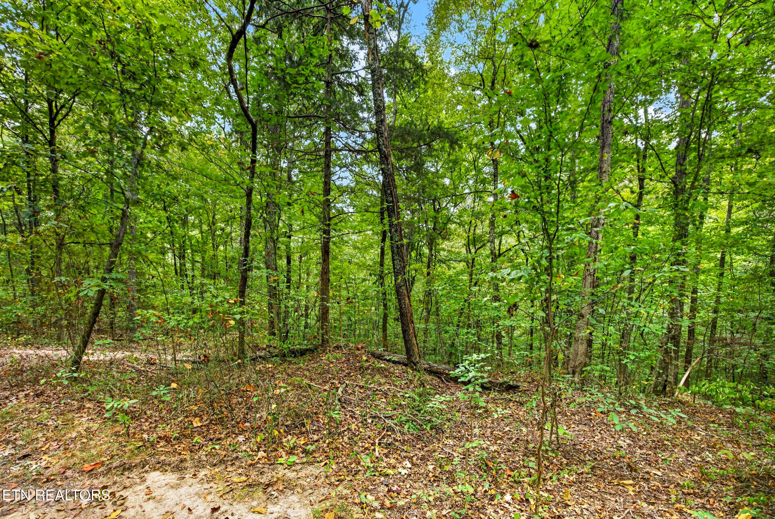 10-8N5A6492 - Lot 20,23& 24 Timber Ridge Lane, Celina, TN 38551