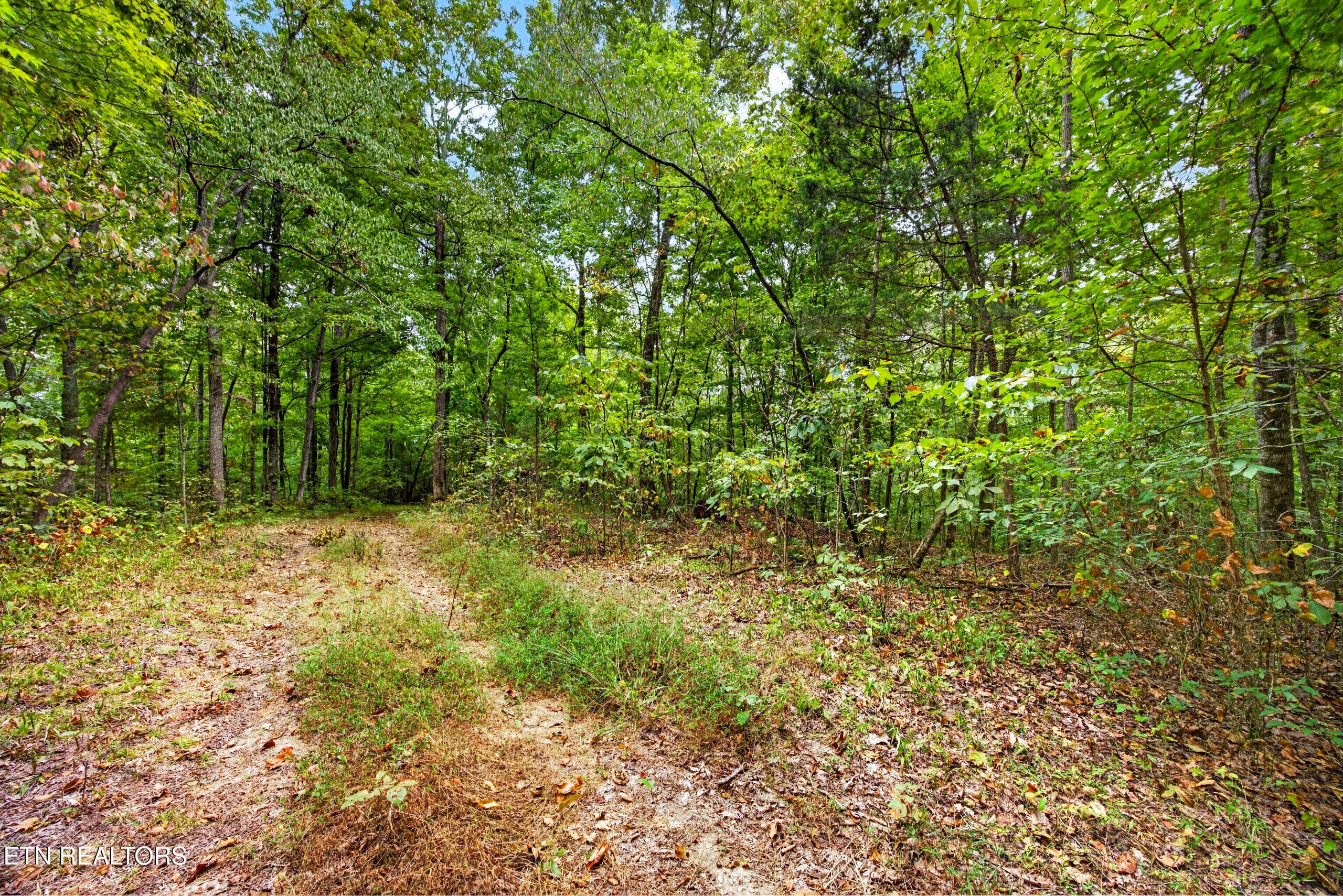 2-8N5A6511 - Lot 20,23& 24 Timber Ridge Lane, Celina, TN 38551