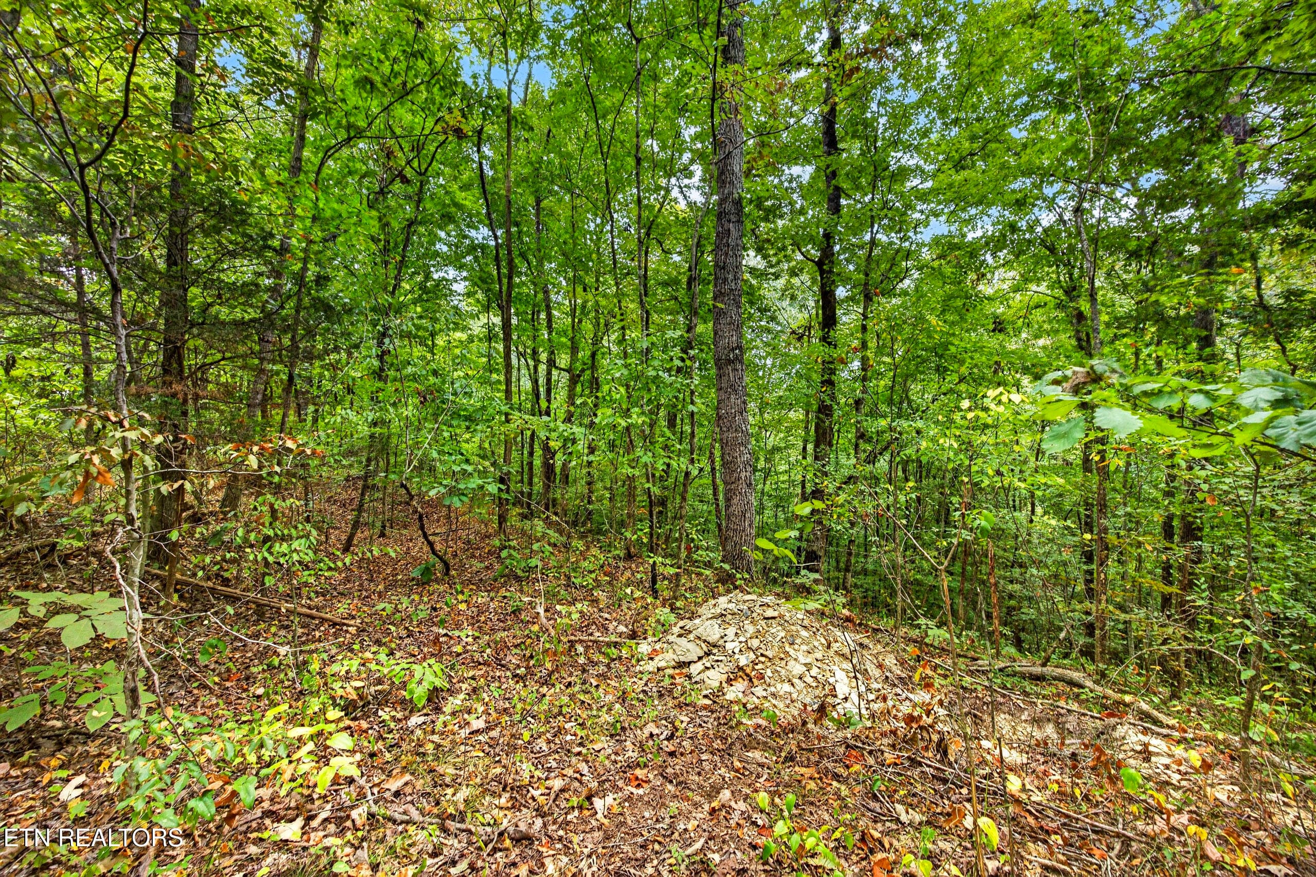 4-8N5A6501 - Lot 20,23& 24 Timber Ridge Lane, Celina, TN 38551