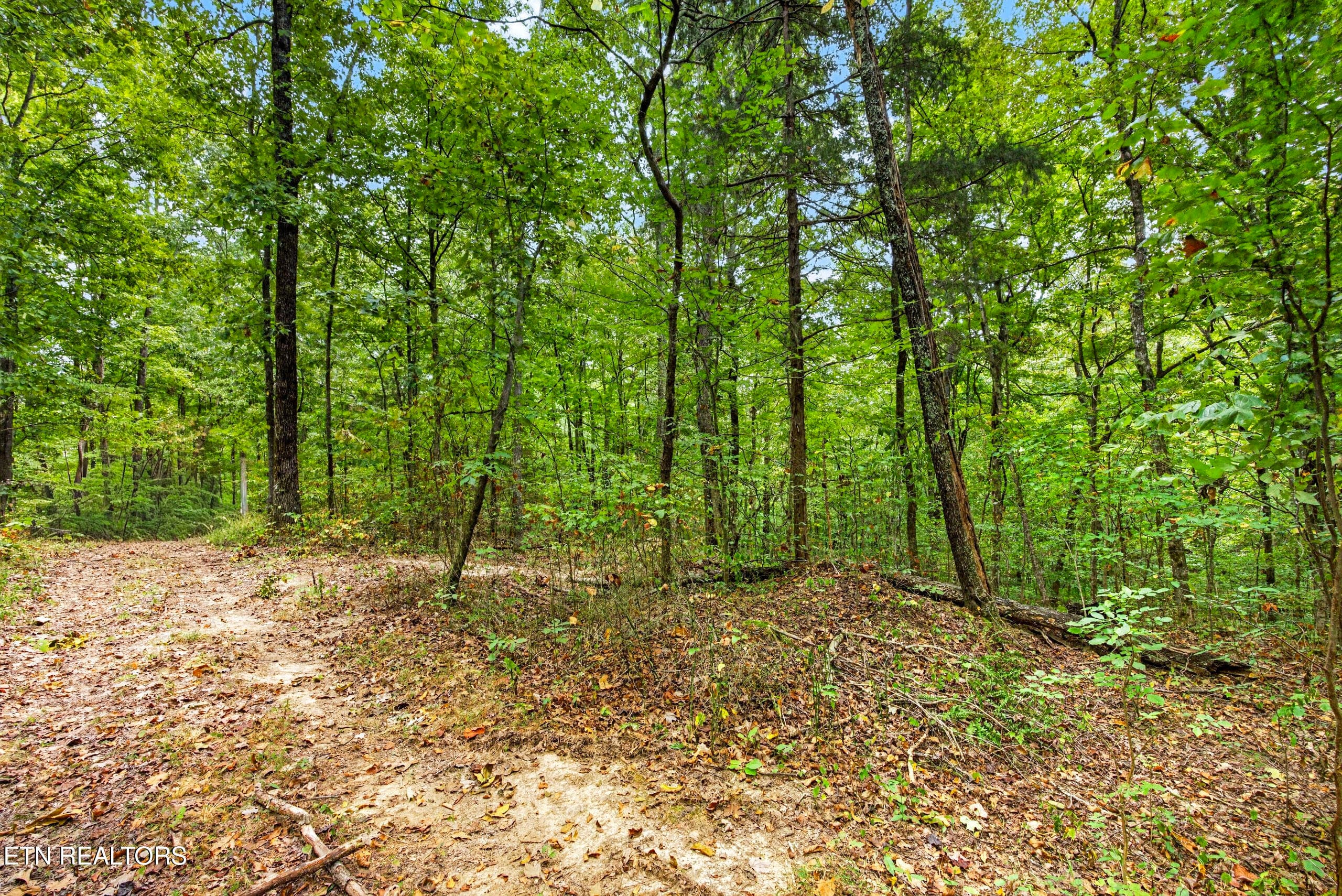 8-8N5A6497 - Lot 20,23& 24 Timber Ridge Lane, Celina, TN 38551
