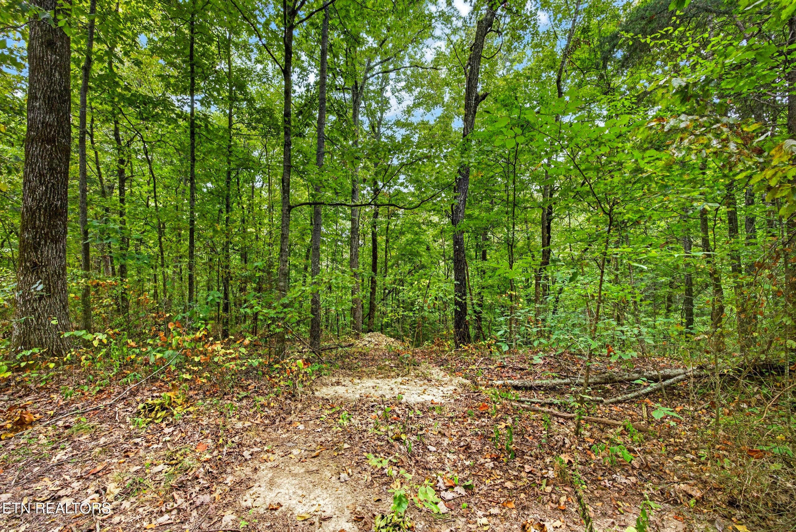 9-8N5A6490 - Lot 20,23& 24 Timber Ridge Lane, Celina, TN 38551