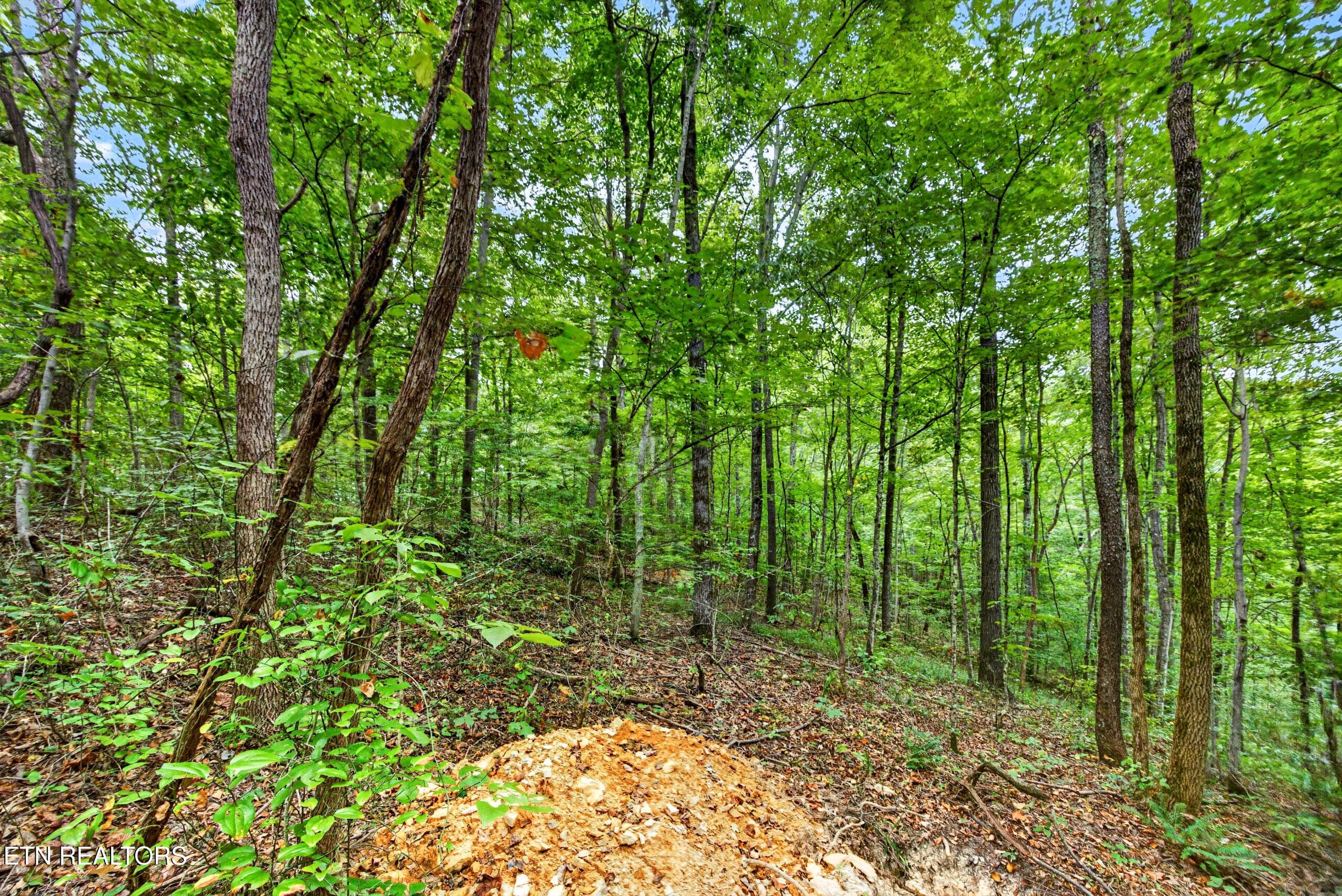 1-8N5A6698 - Lot 25&26 Timber Ridge Lane, Celina, TN 38551