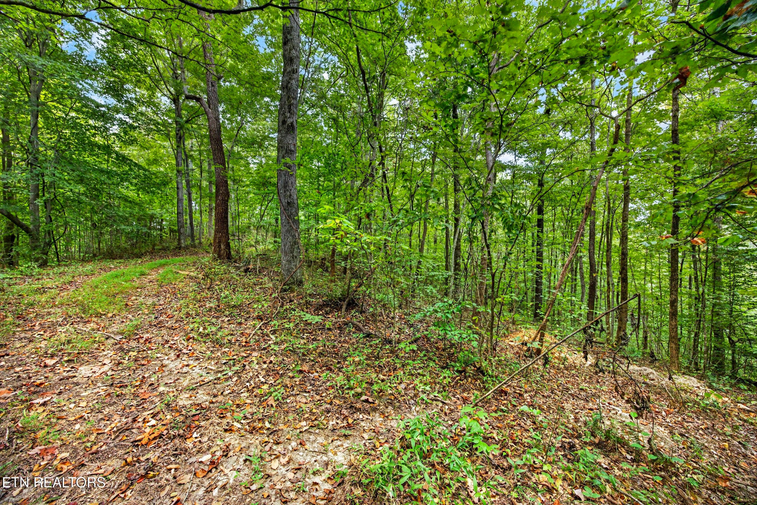 2-8N5A6684 - Lot 25&26 Timber Ridge Lane, Celina, TN 38551