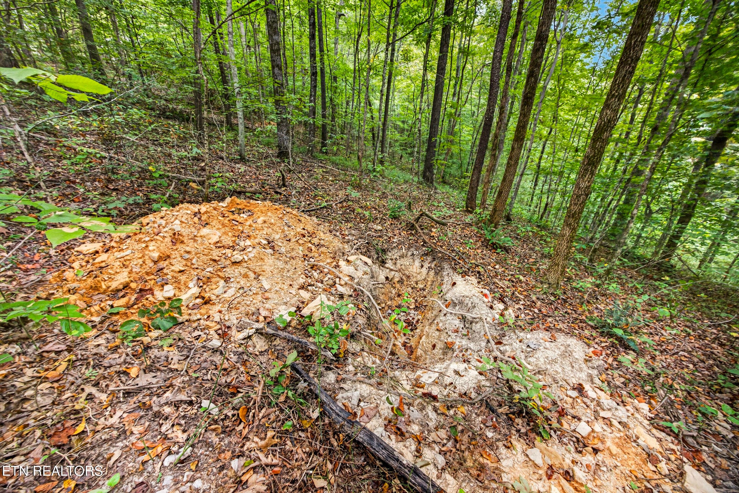 3-8N5A6691 - Lot 25&26 Timber Ridge Lane, Celina, TN 38551