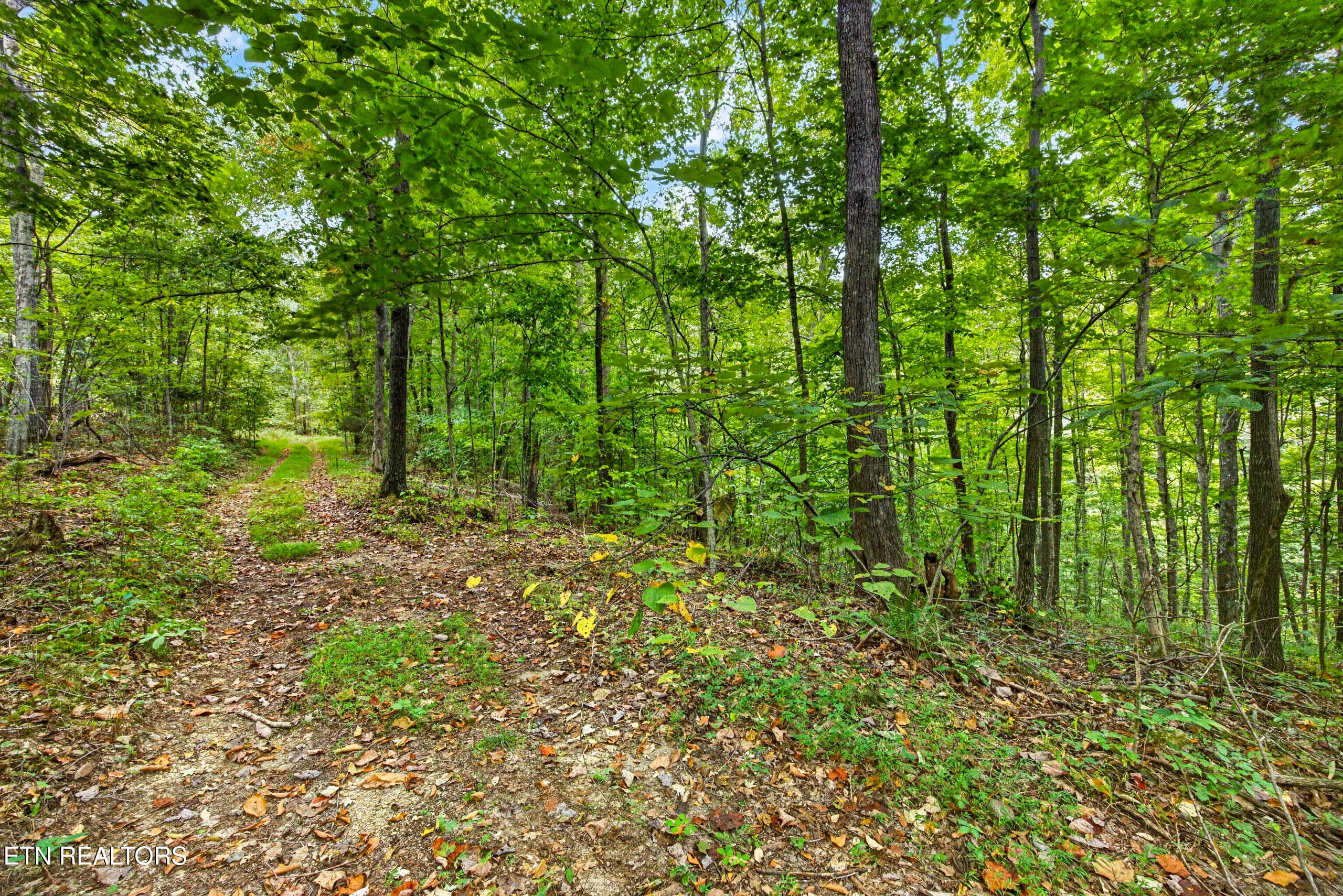 4-8N5A6681 - Lot 25&26 Timber Ridge Lane, Celina, TN 38551