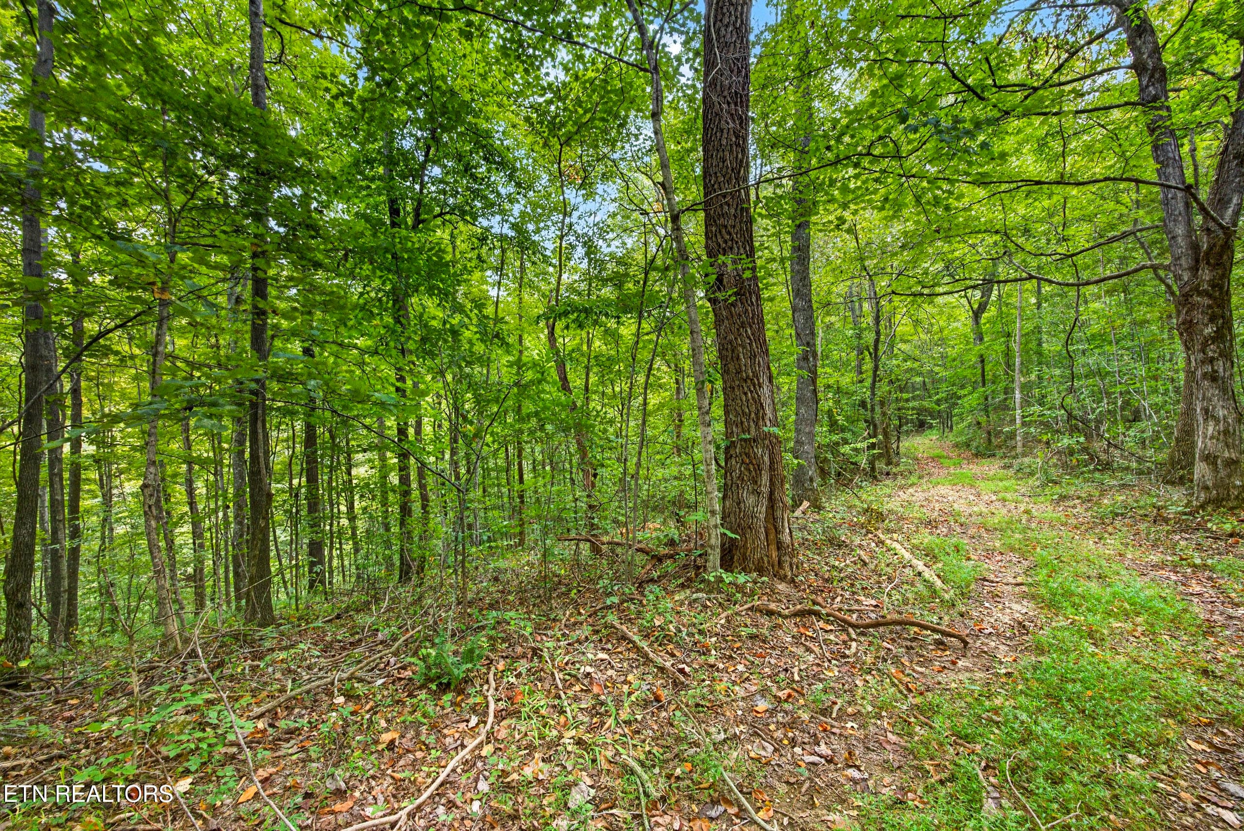 5-8N5A6679 - Lot 25&26 Timber Ridge Lane, Celina, TN 38551