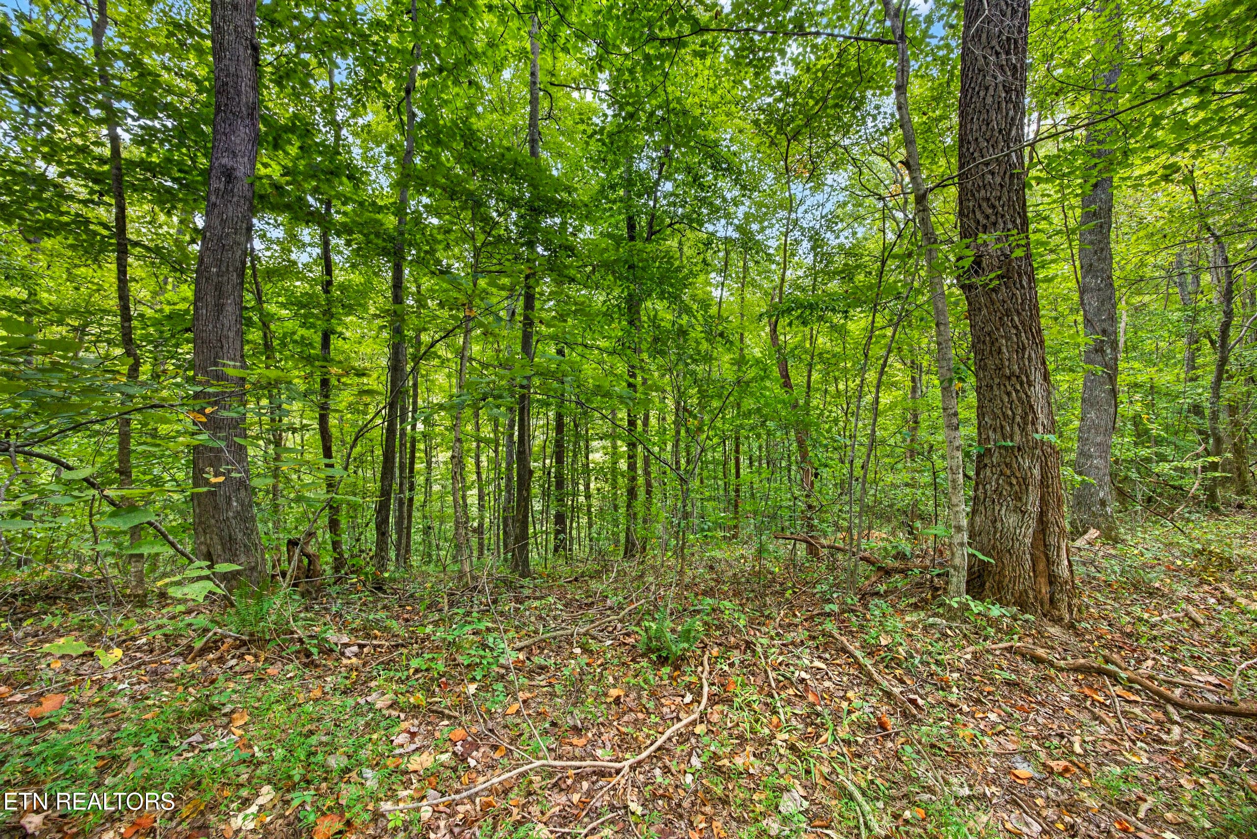 6-8N5A6677 - Lot 25&26 Timber Ridge Lane, Celina, TN 38551