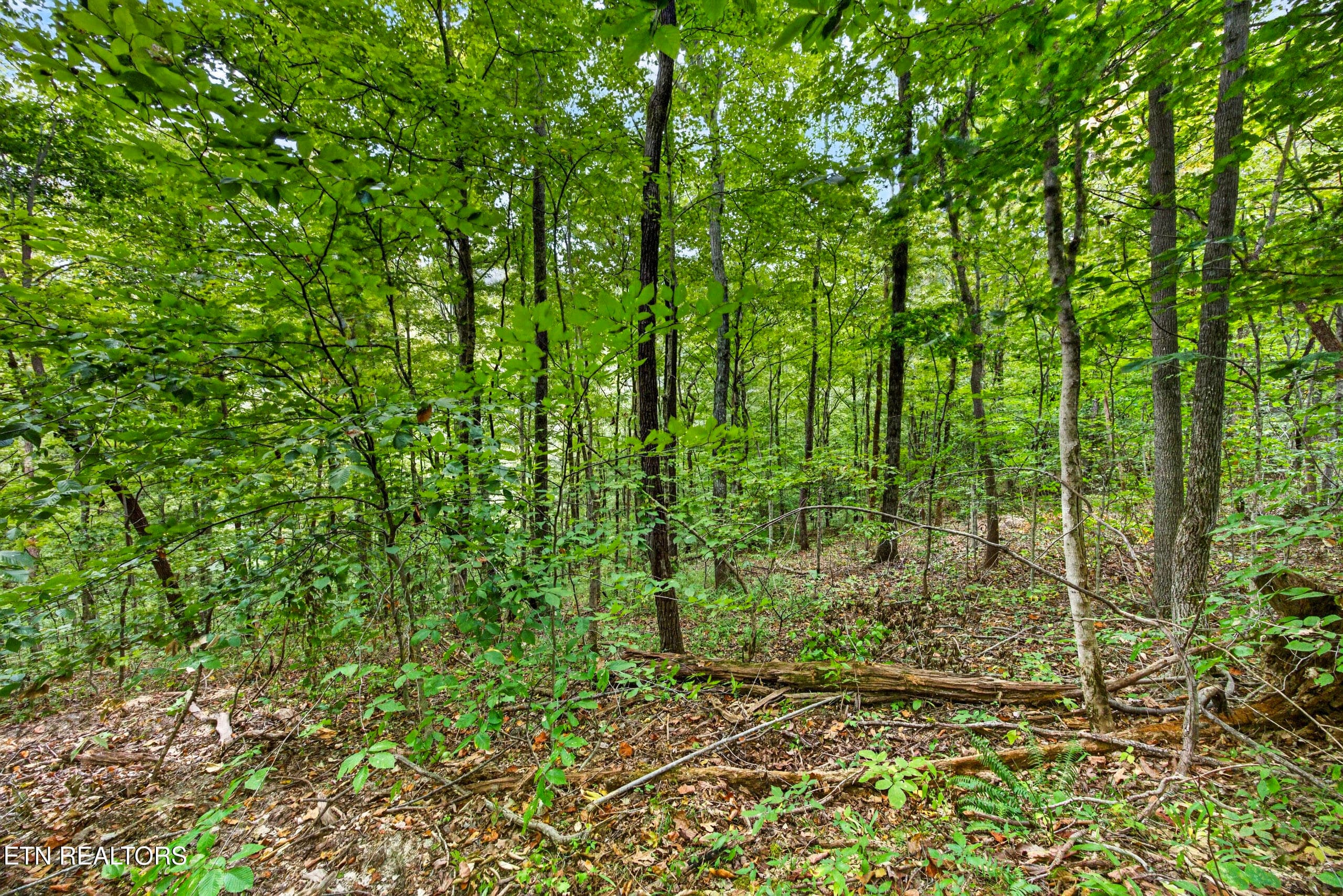 7-8N5A6672 - Lot 25&26 Timber Ridge Lane, Celina, TN 38551