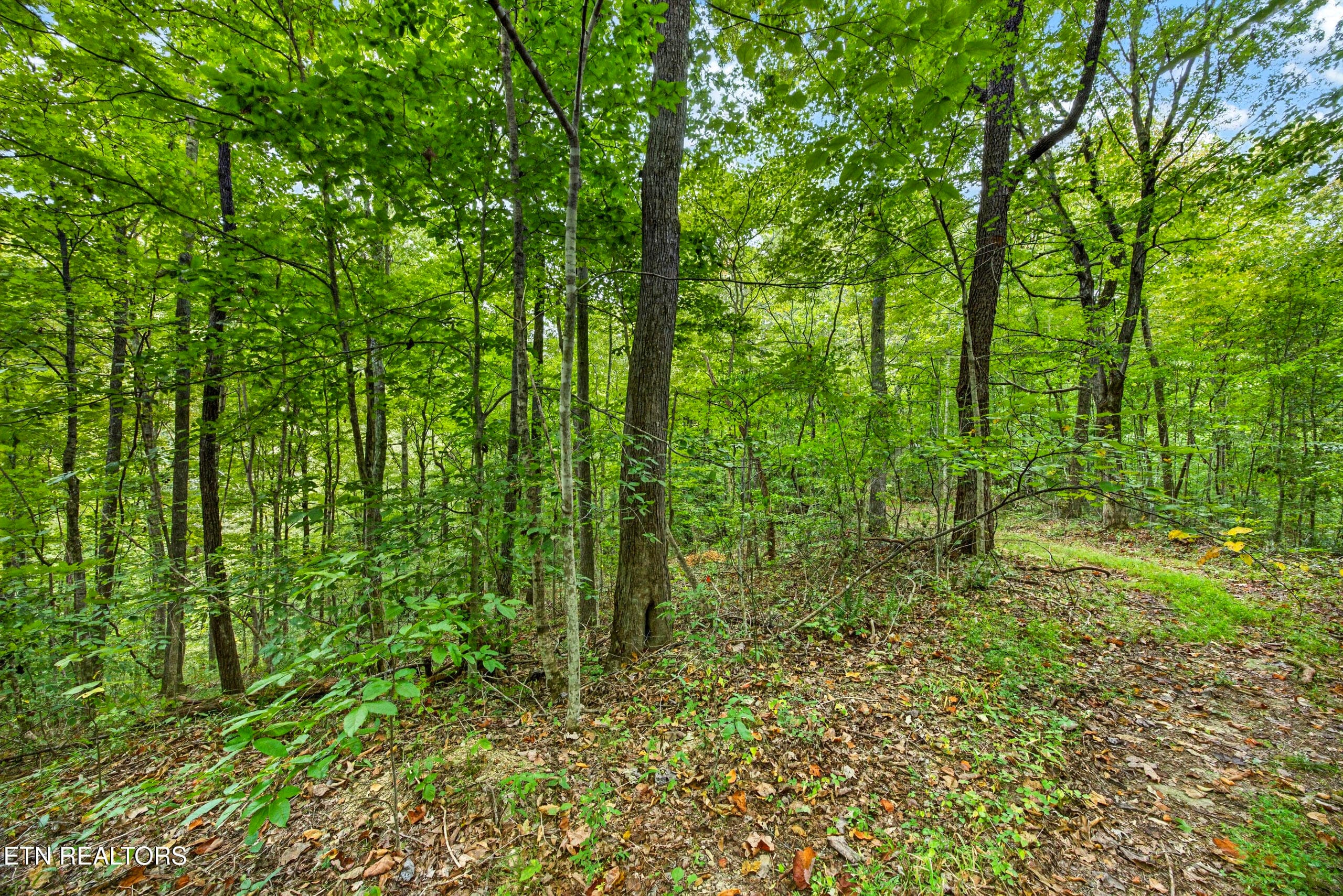 8-8N5A6666 - Lot 25&26 Timber Ridge Lane, Celina, TN 38551