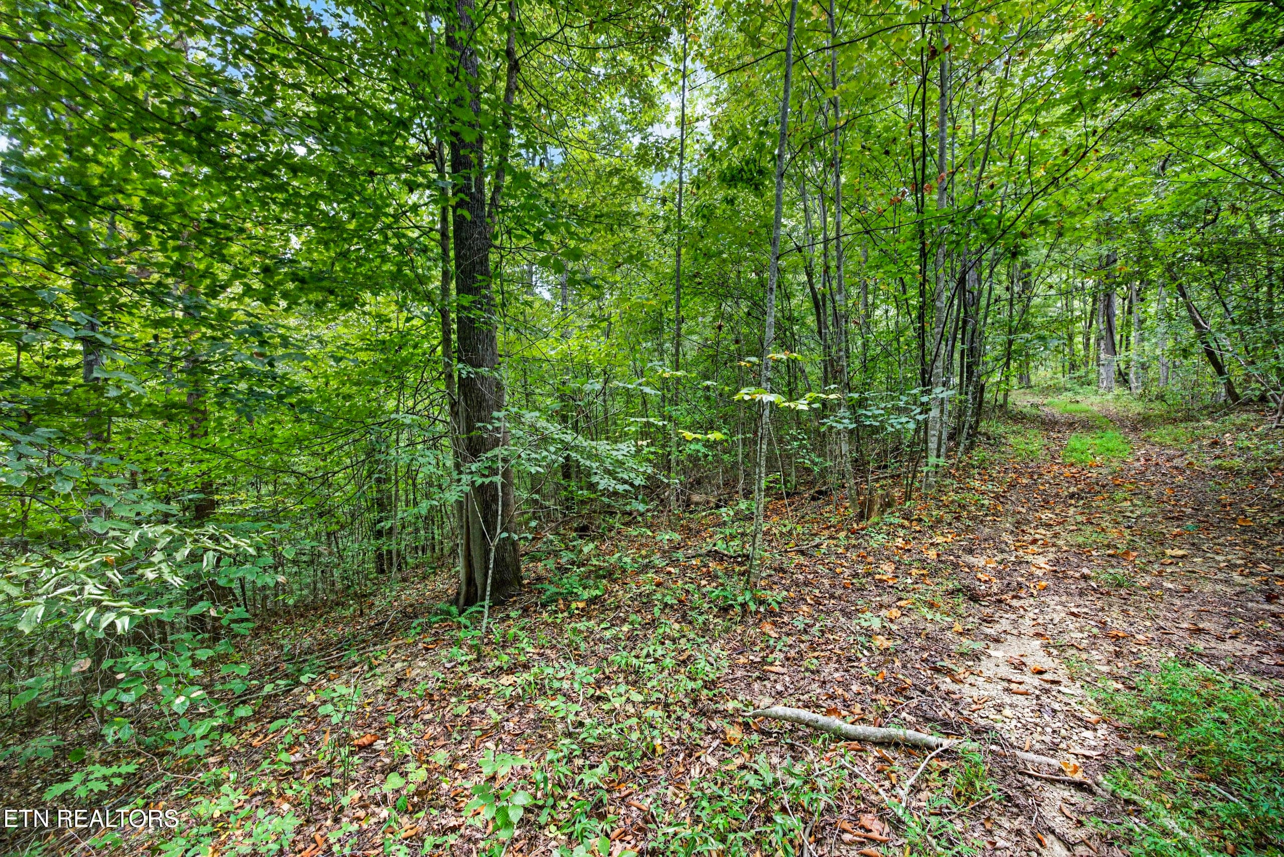 10-8N5A6579 - Lot 25&26 Timber Ridge Lane, Celina, TN 38551