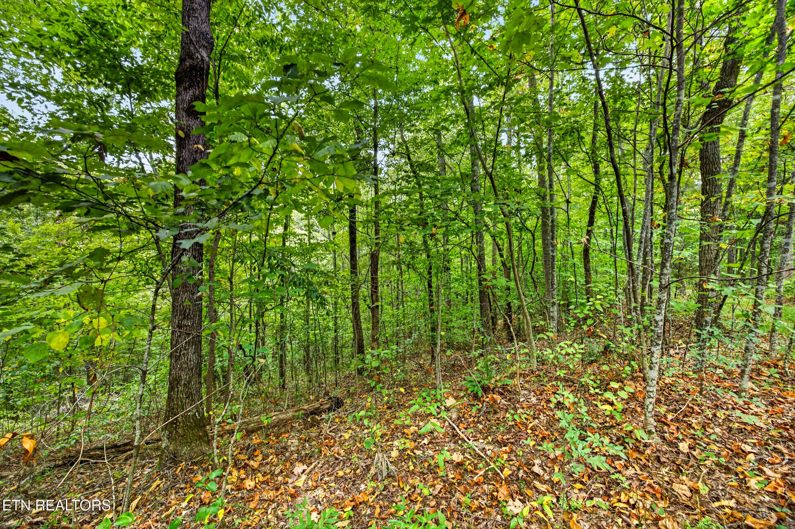1-8N5A6729 - Lot 25&26 Timber Ridge Lane, Celina, TN 38551