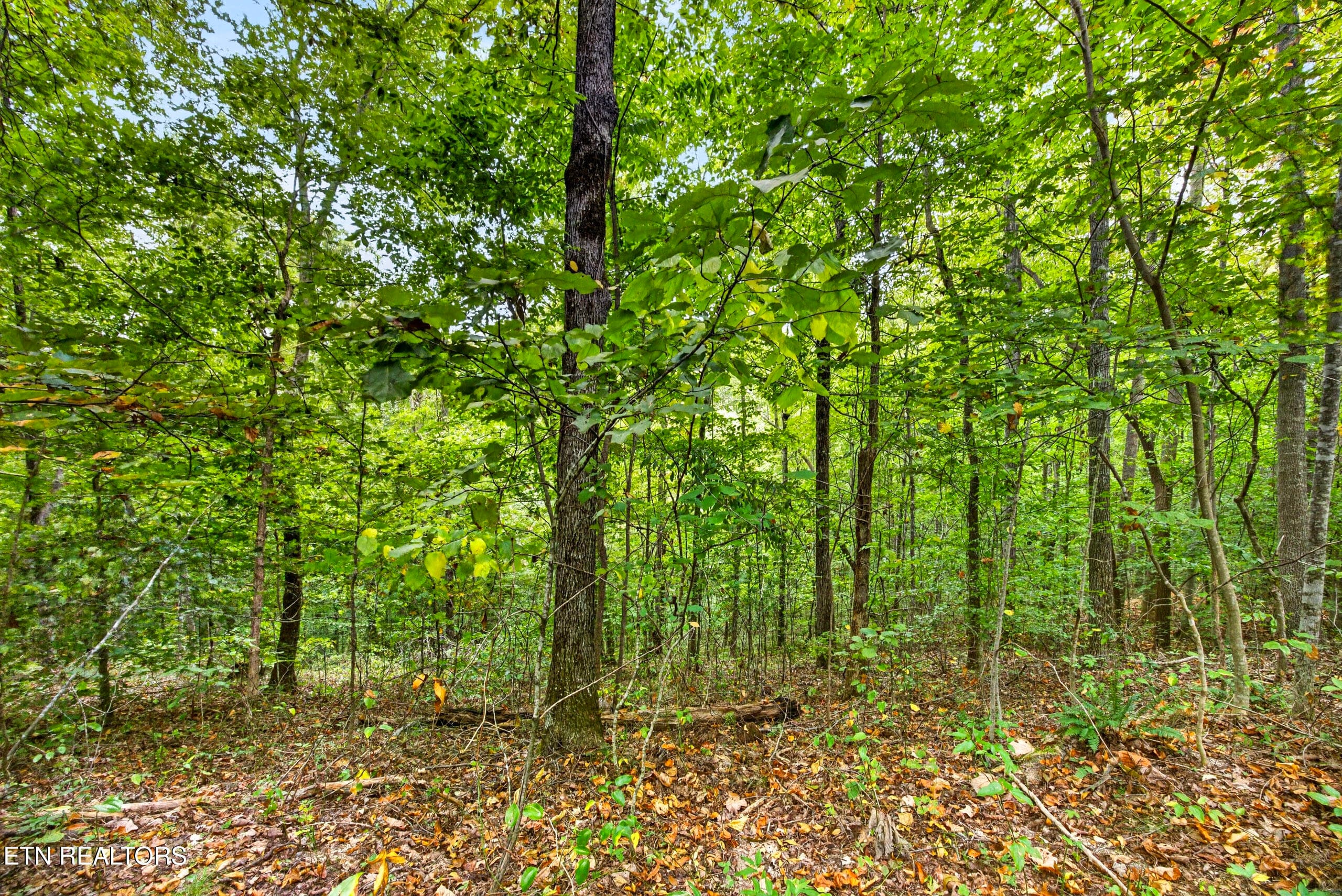 2-8N5A6734 - Lot 25&26 Timber Ridge Lane, Celina, TN 38551