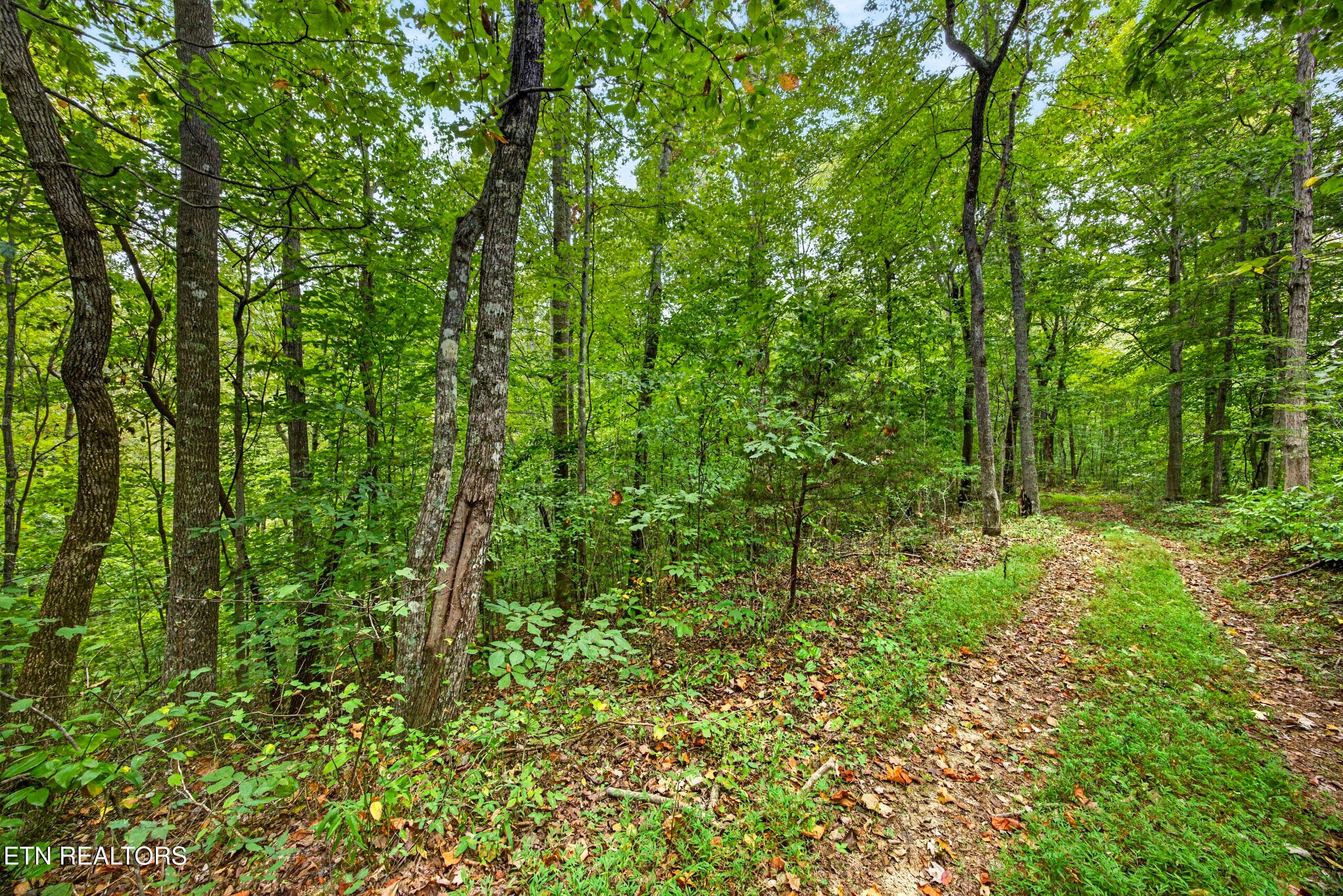 3-8N5A6727 - Lot 25&26 Timber Ridge Lane, Celina, TN 38551