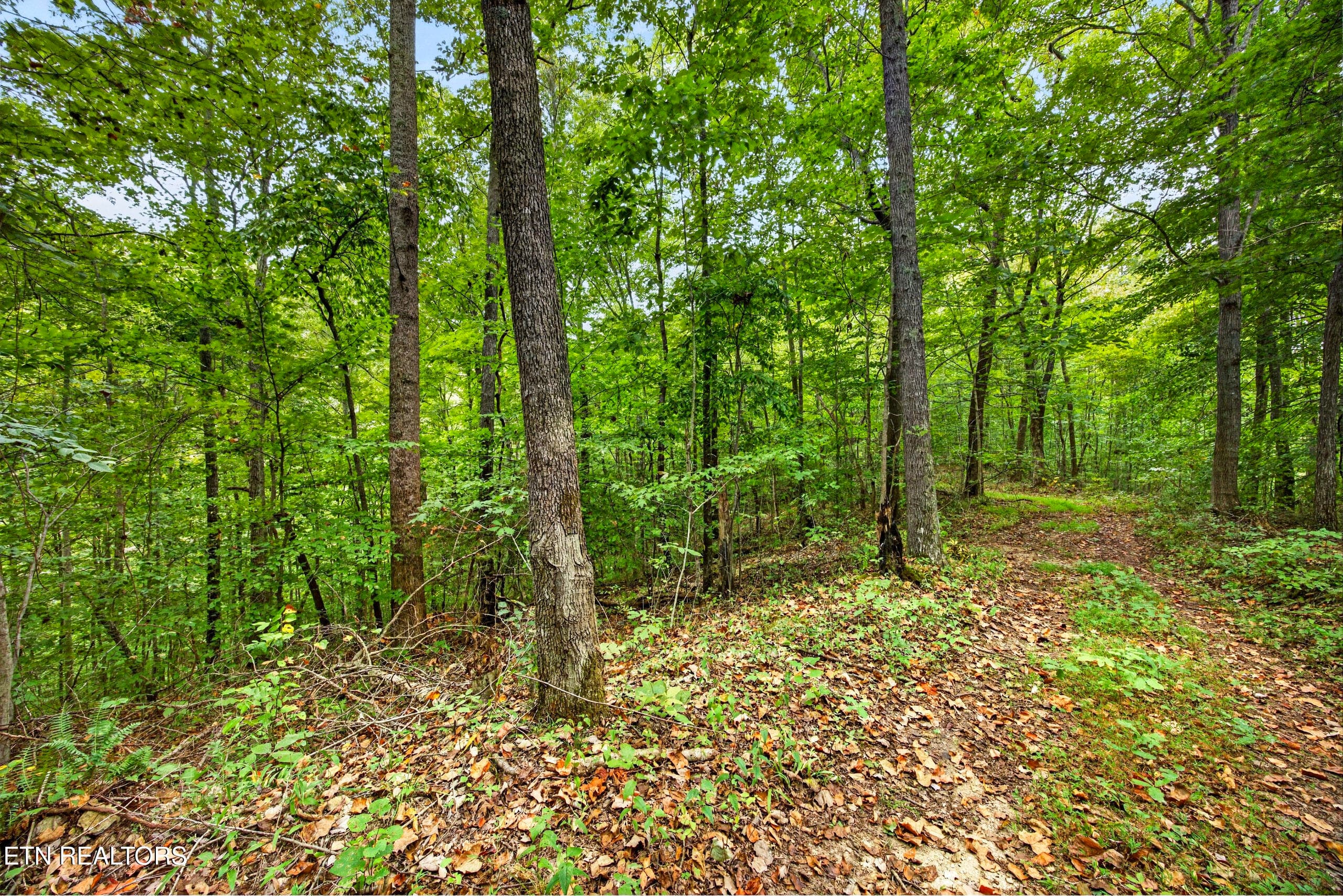 4-8N5A6723 - Lot 25&26 Timber Ridge Lane, Celina, TN 38551