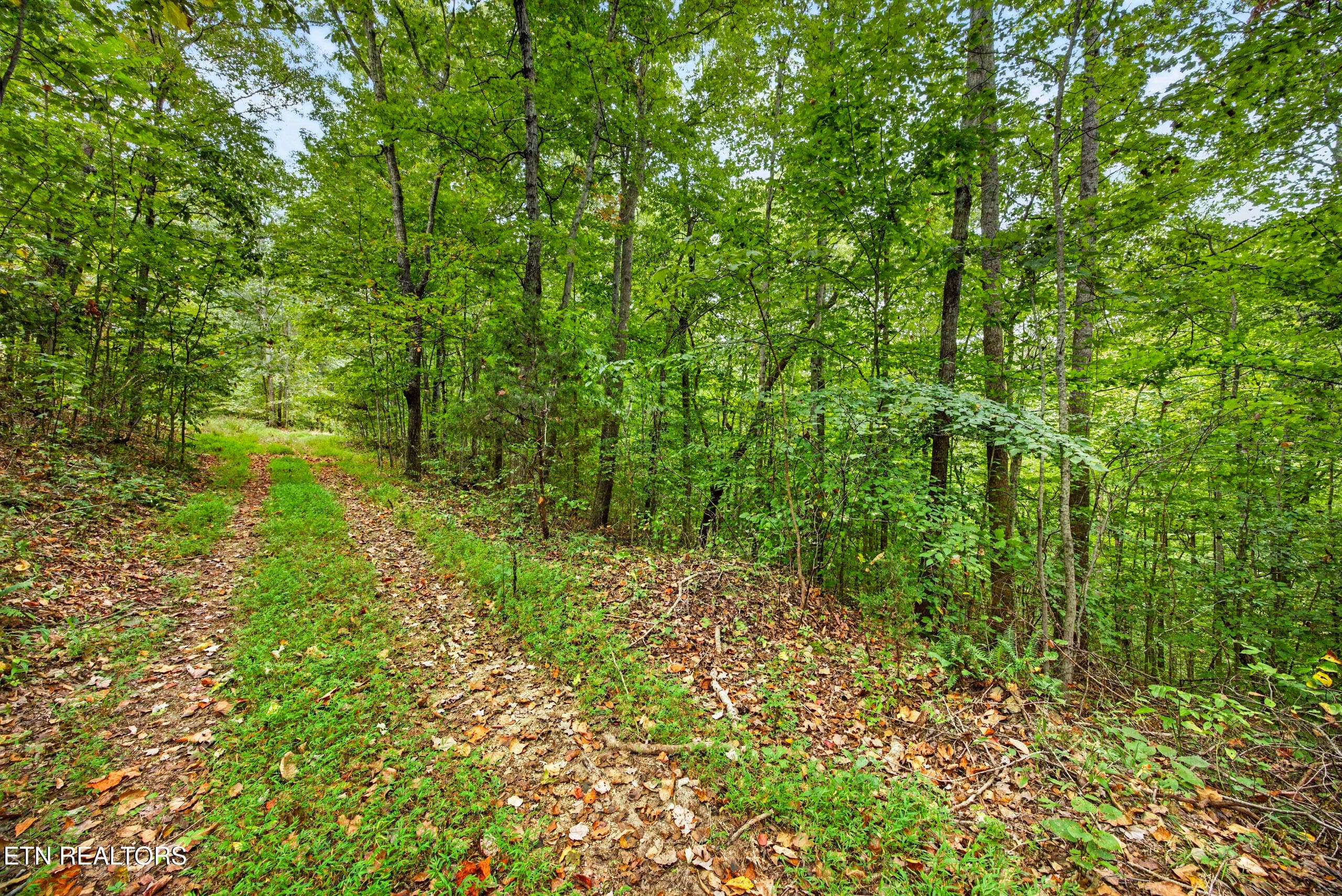 5-8N5A6720 - Lot 25&26 Timber Ridge Lane, Celina, TN 38551