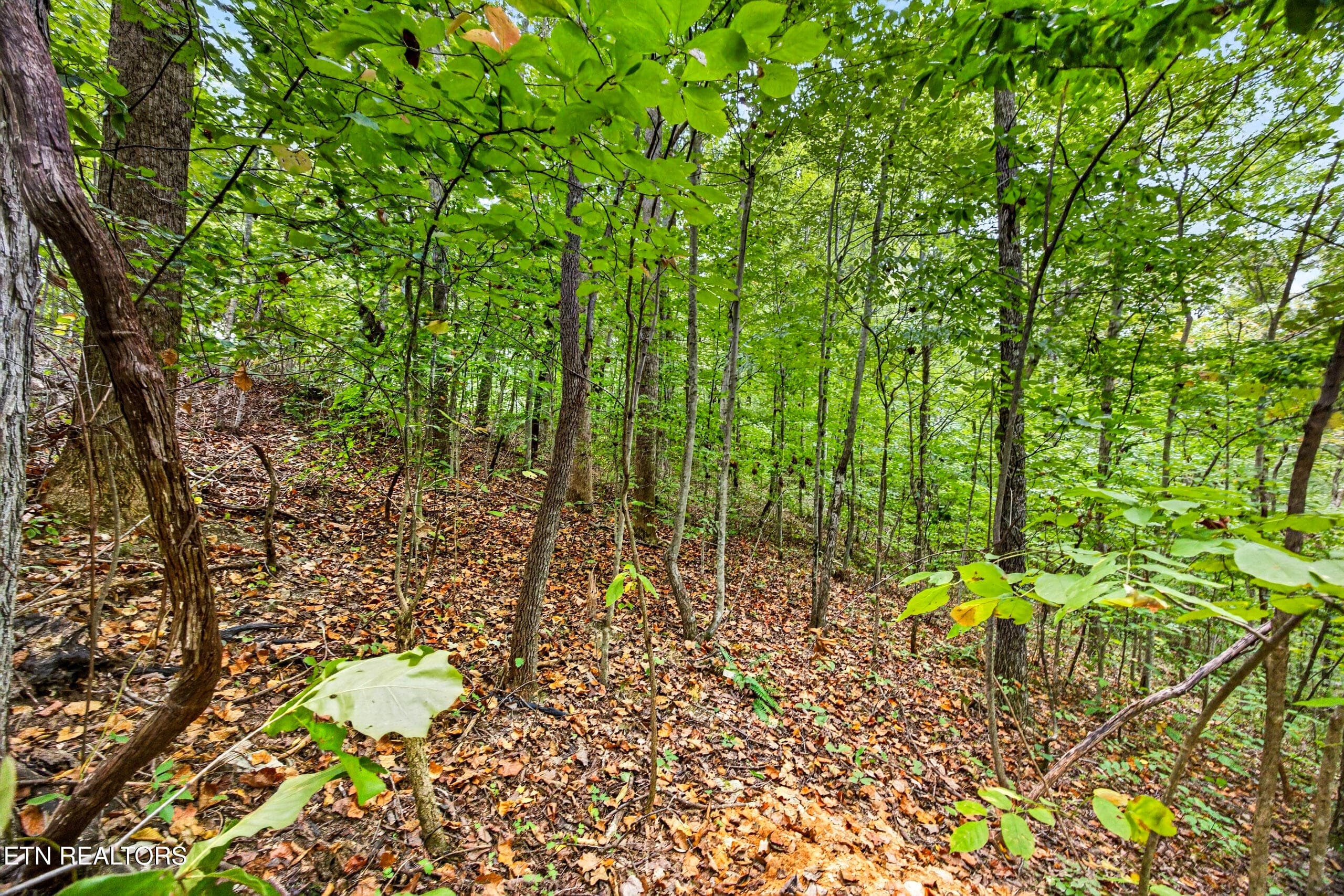 6-8N5A6711 - Lot 25&26 Timber Ridge Lane, Celina, TN 38551